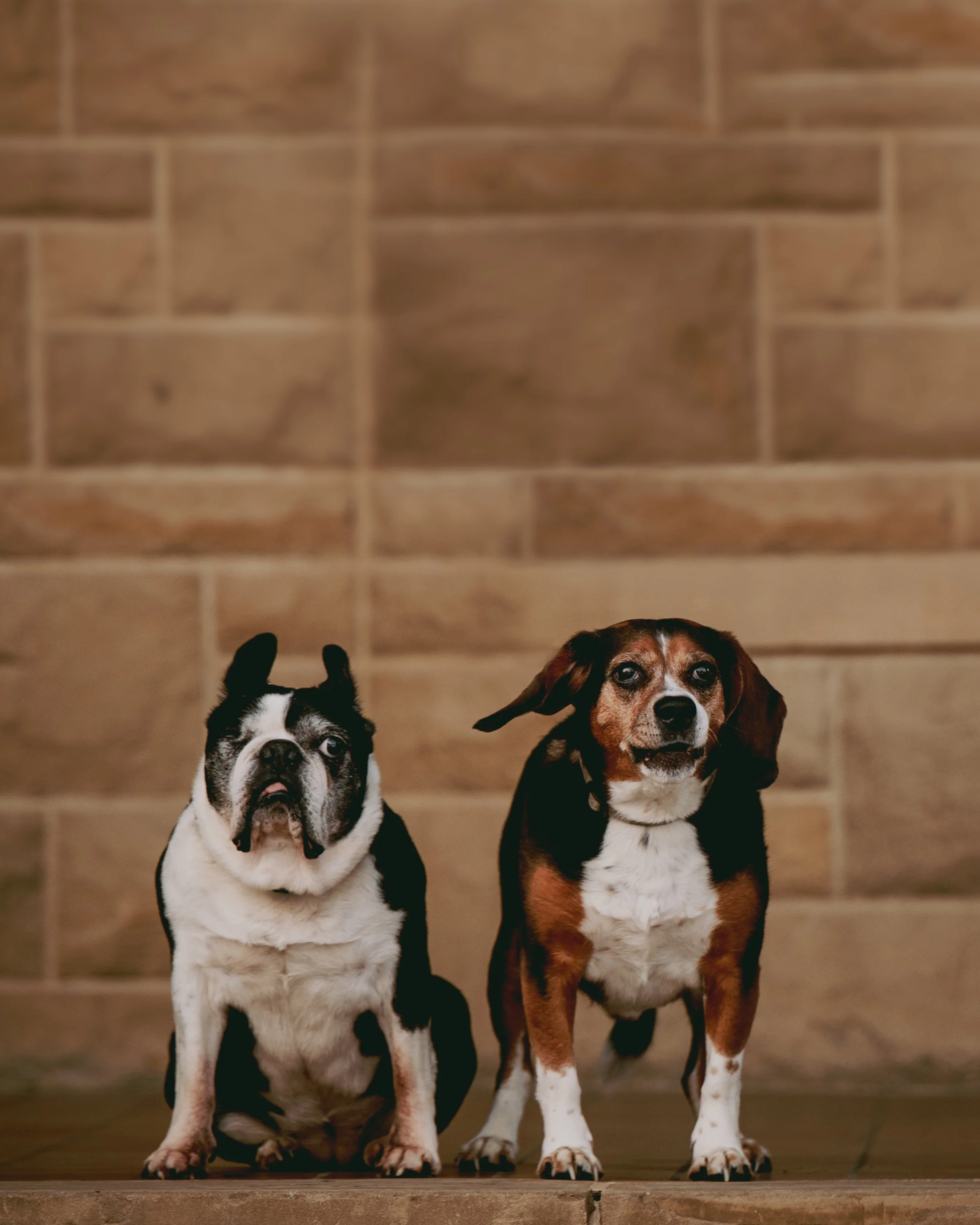 DSC_0813-Edit.JPG