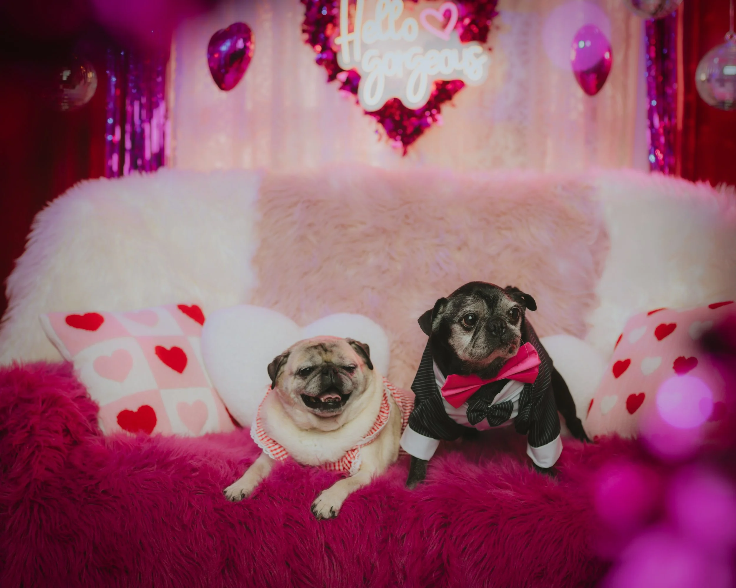 zucchini & meatball6.JPG