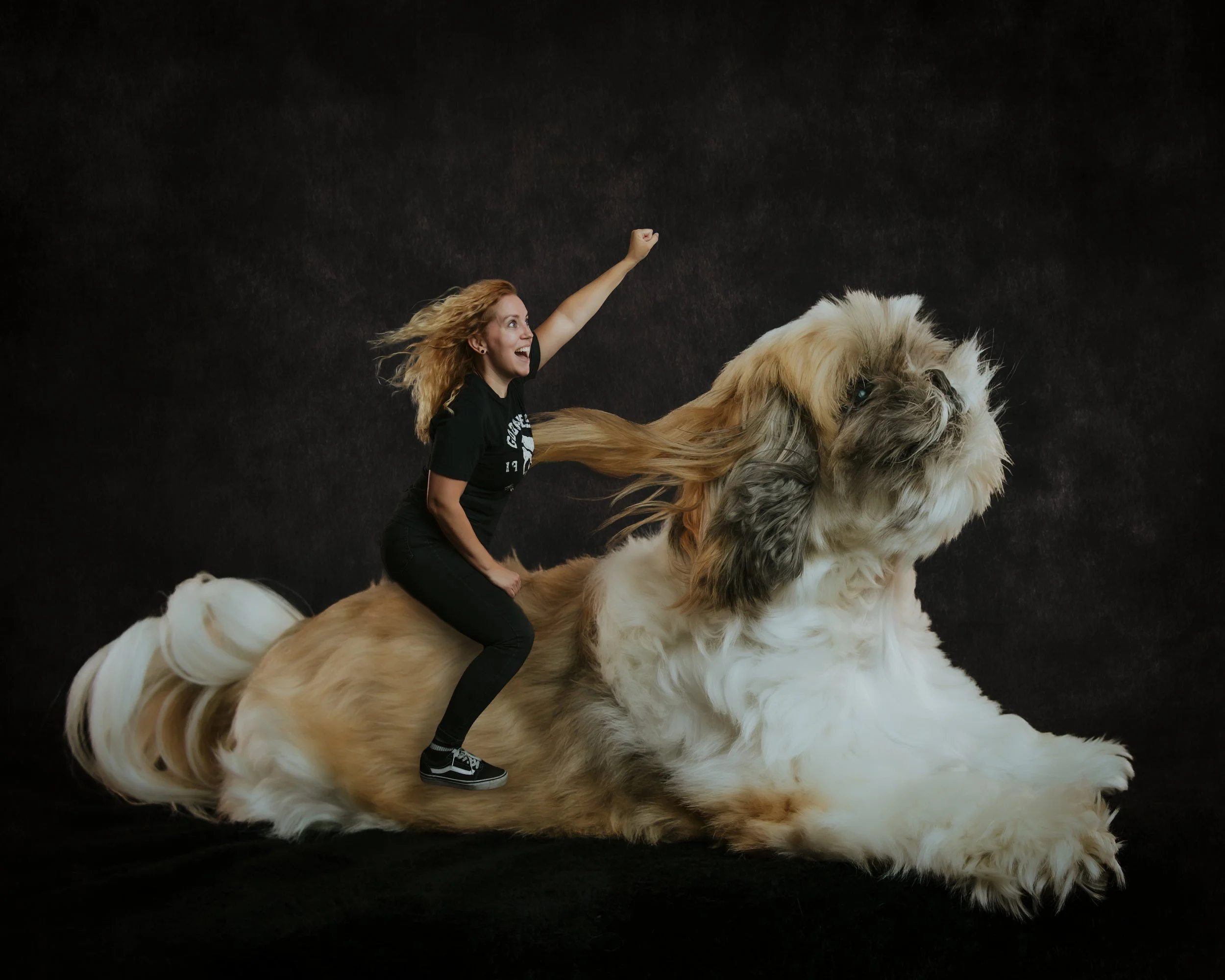Wicket (22).JPG