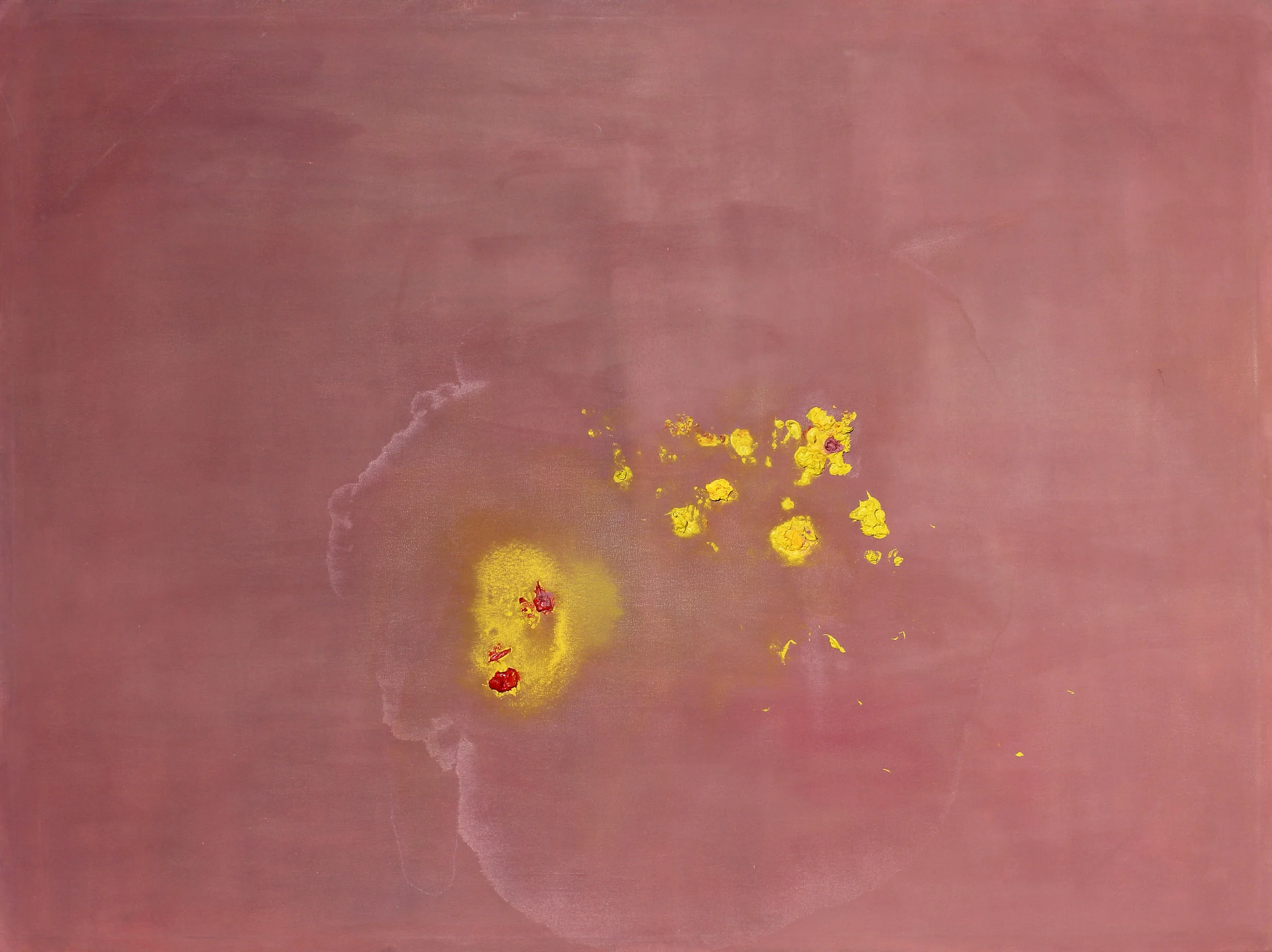 yellow flowers 2016, oil and wax on canvas, 5o x 36