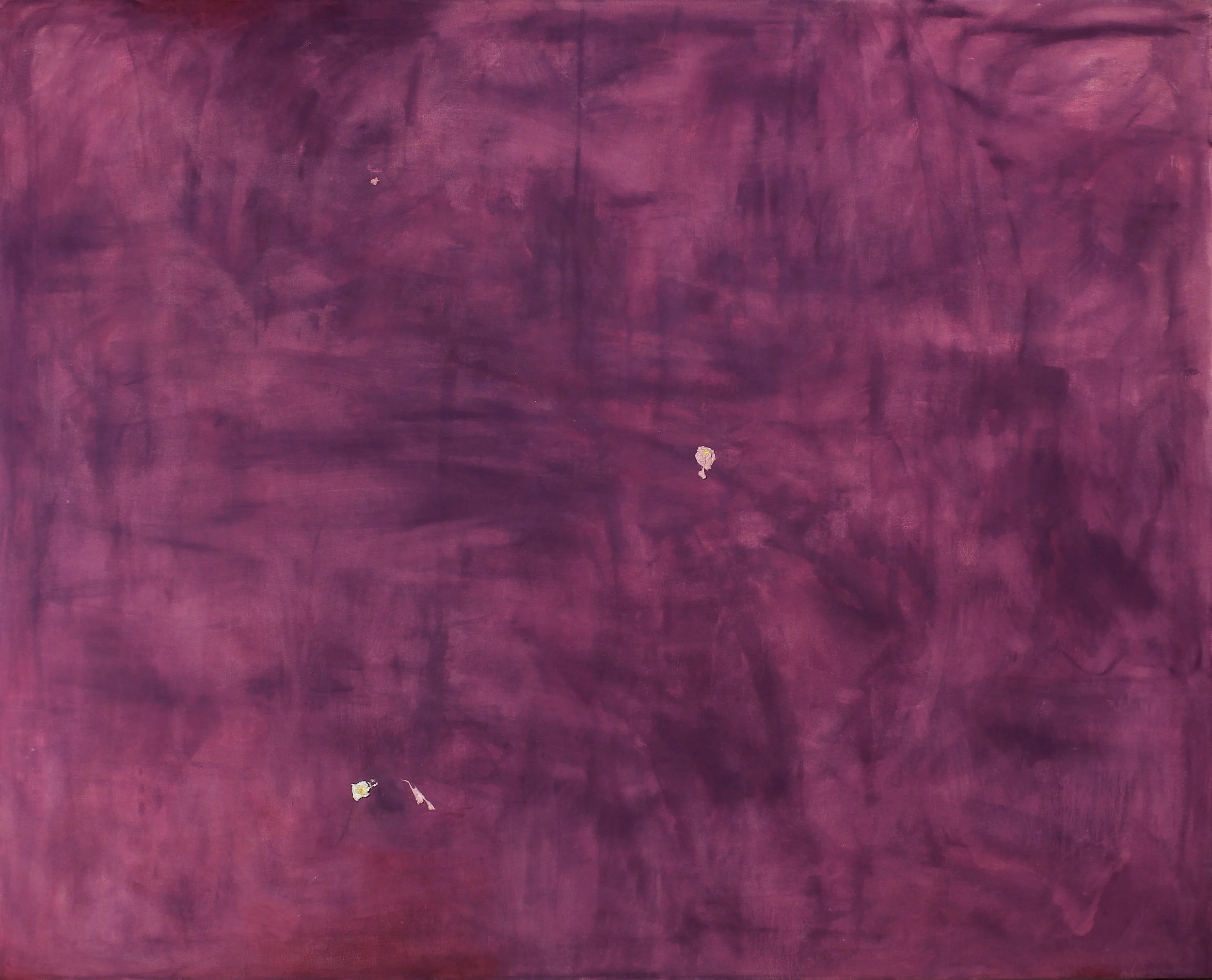 smells like a rose # 2 2016, oil and wax on canvas, 62 x 50