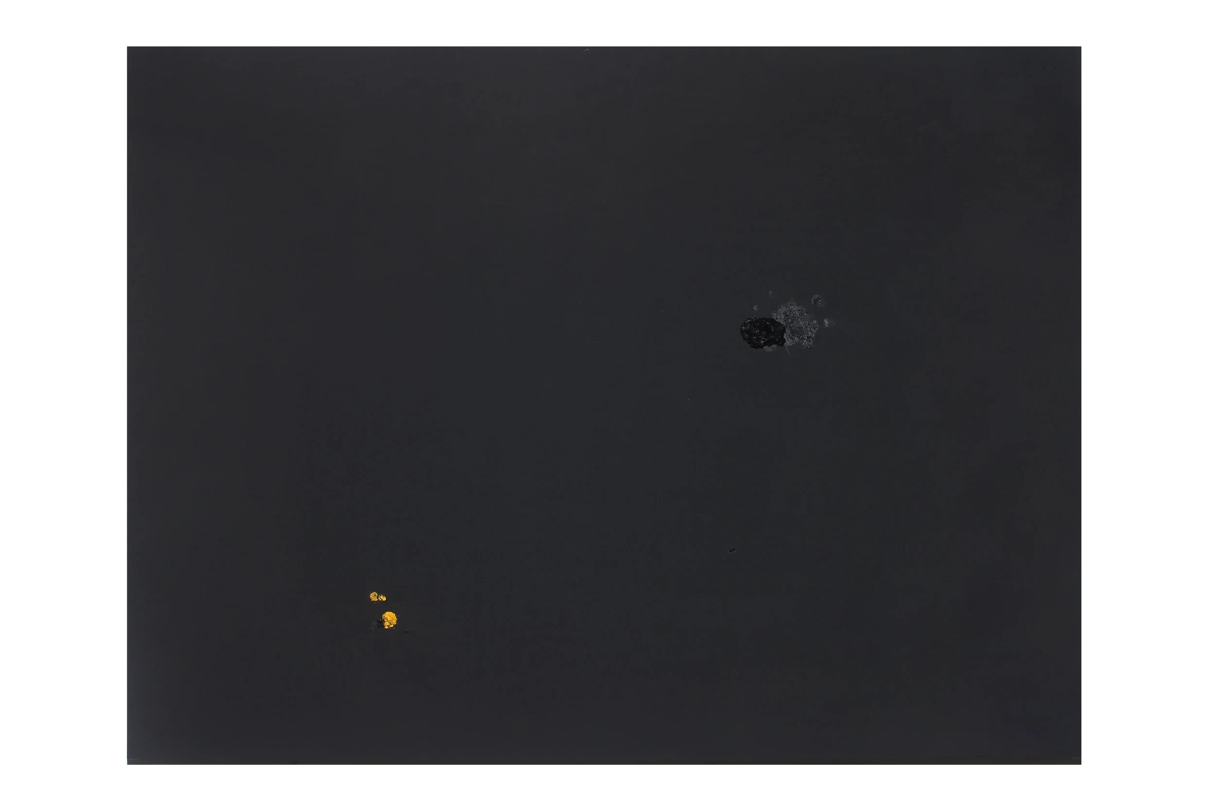 Black flowers #1