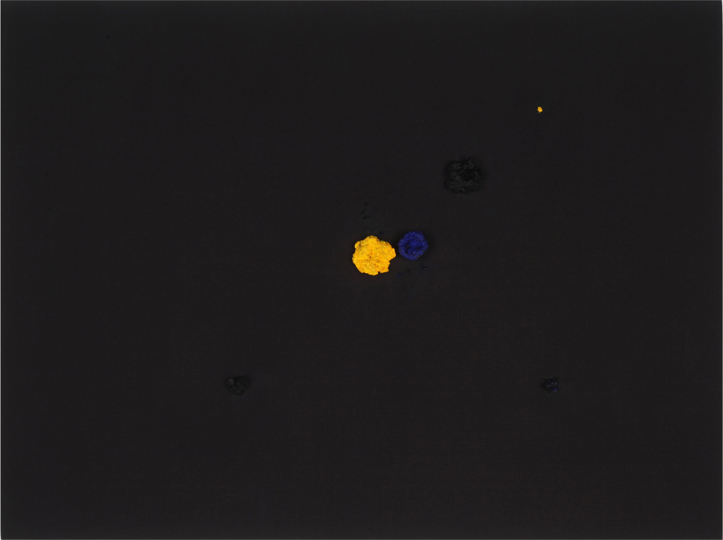 Black Flower #4