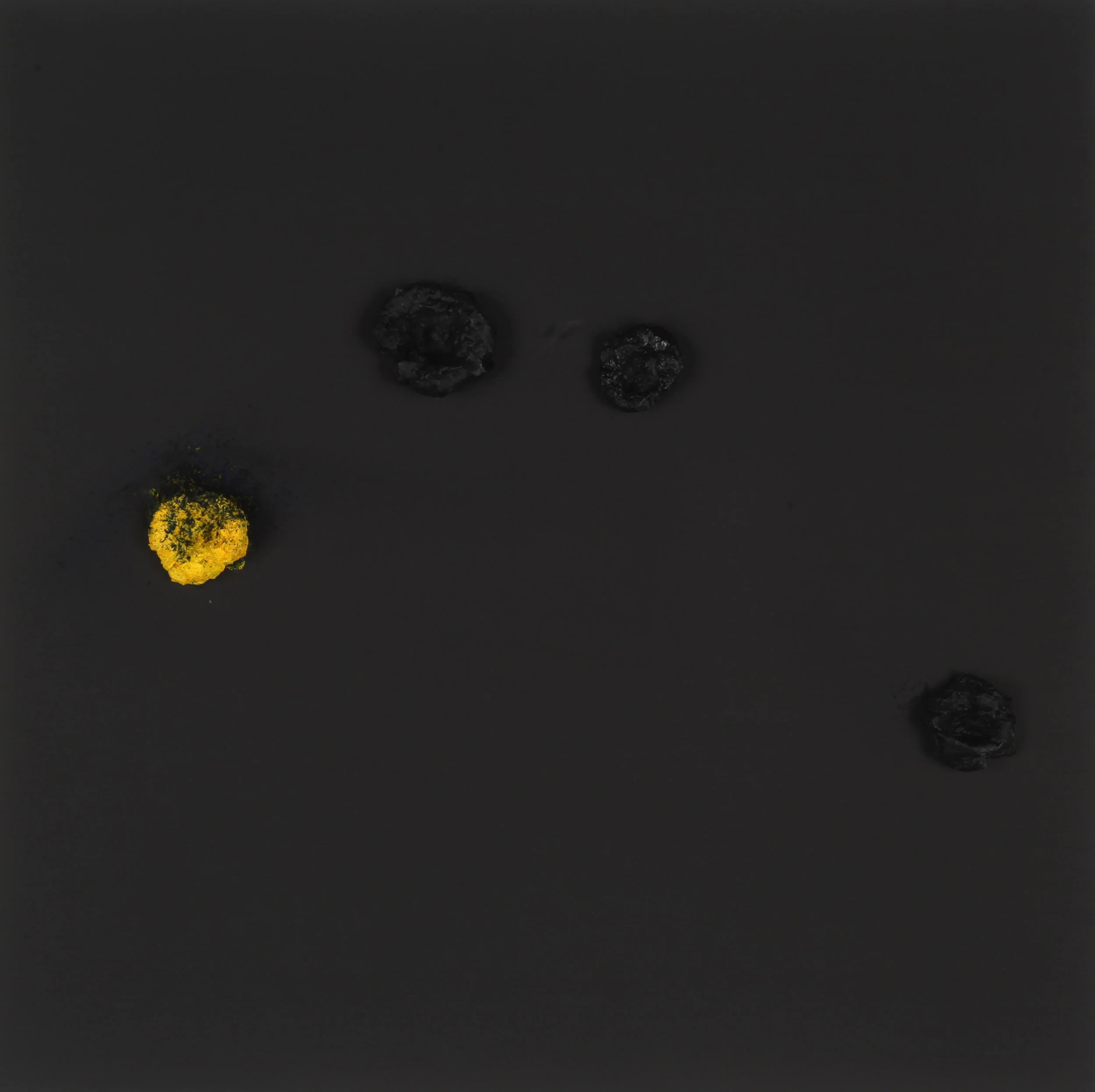 Black Flower #14
