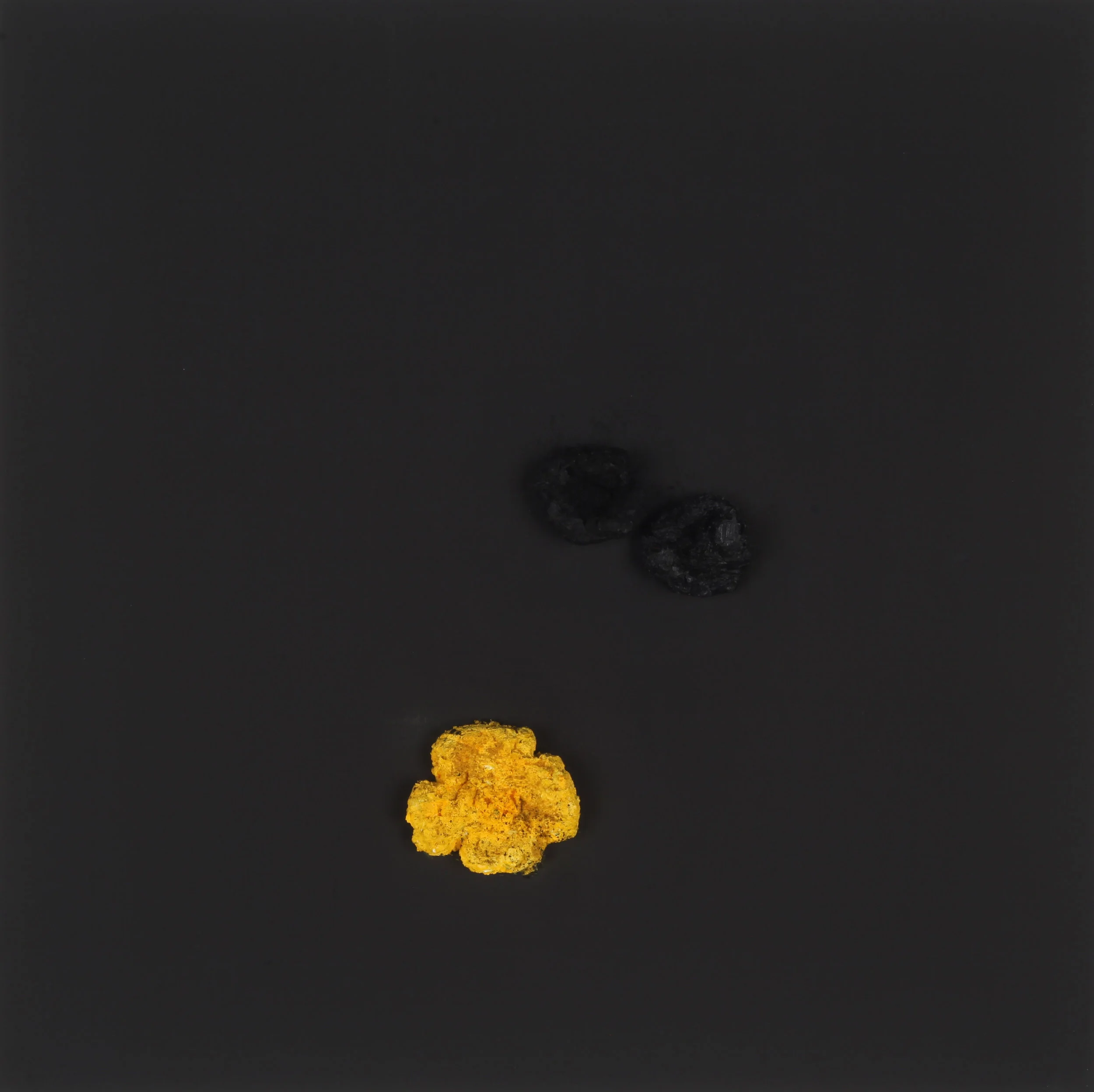 Black Flower #15