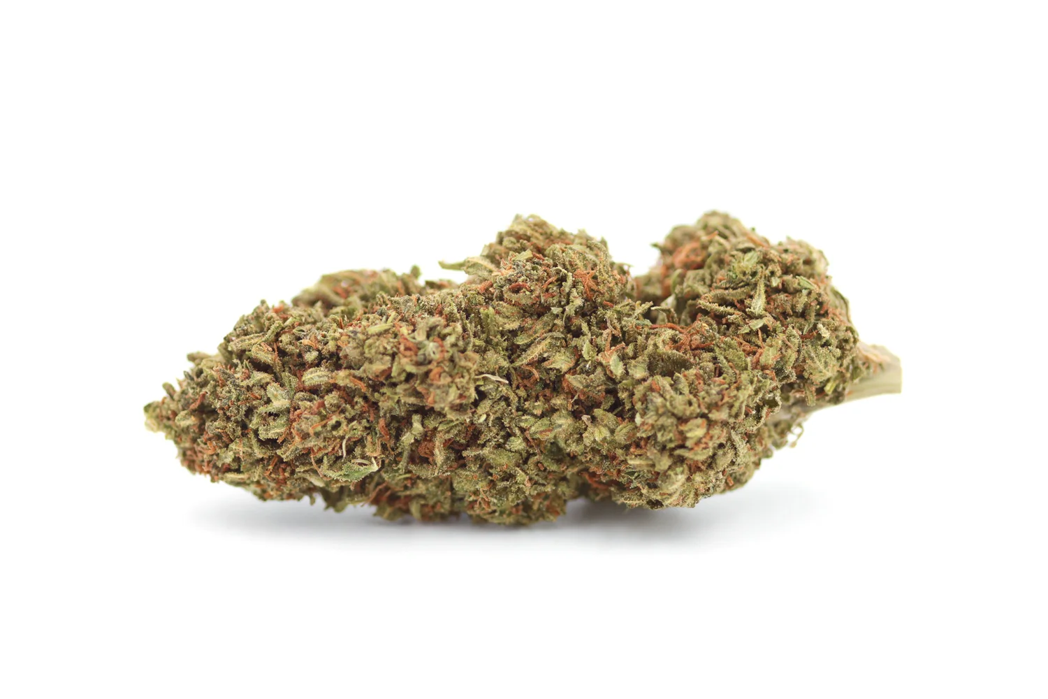 Jack Herer