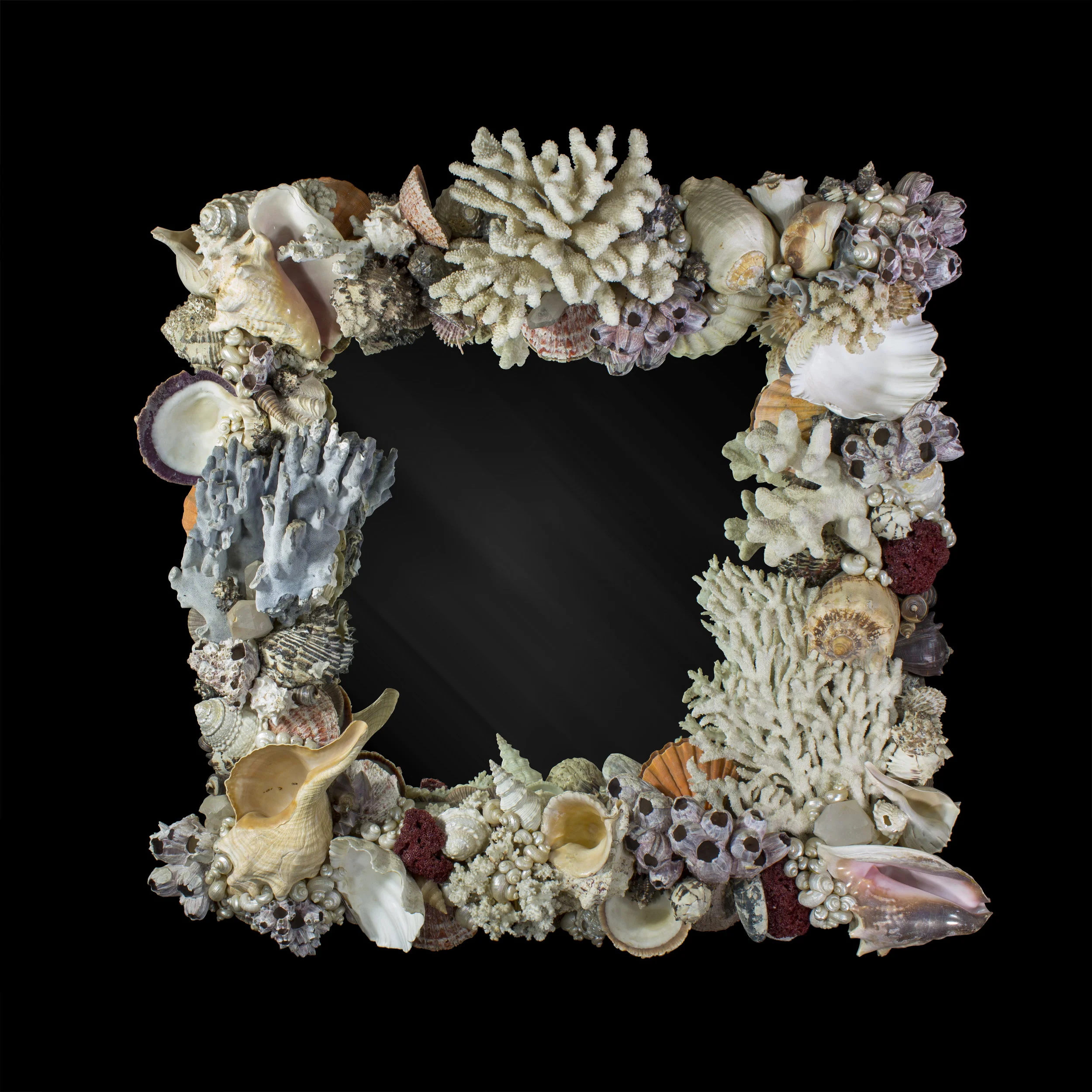 reef-01.jpg