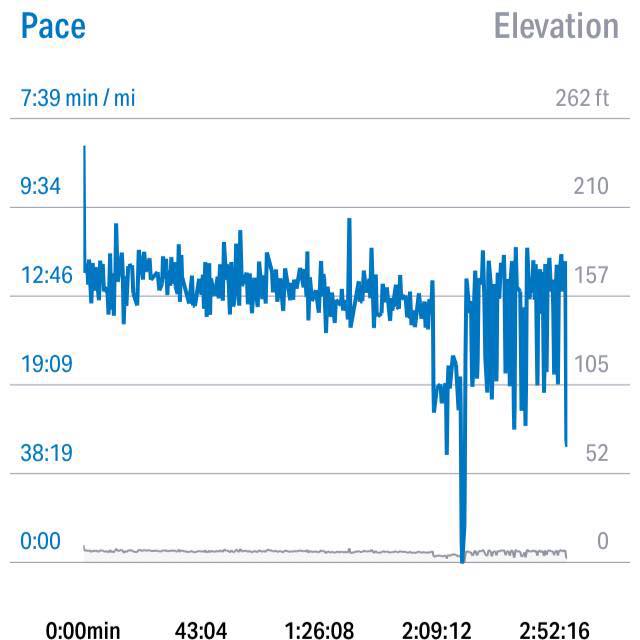 Photographic evidence thanks to Map My Run. You can see the point where I stopped running after two hours and found a Porta-potty. Not that there was any urine left. I ran and walked the last three, which is why the line looks choppier.