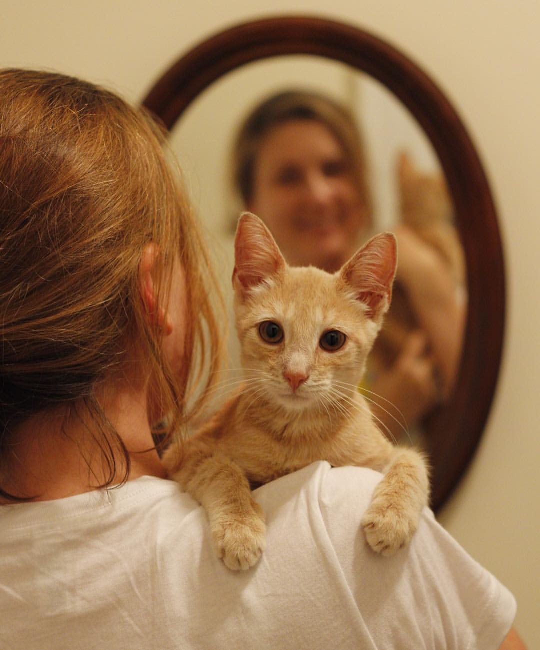 Looks innocent, doesn't he?