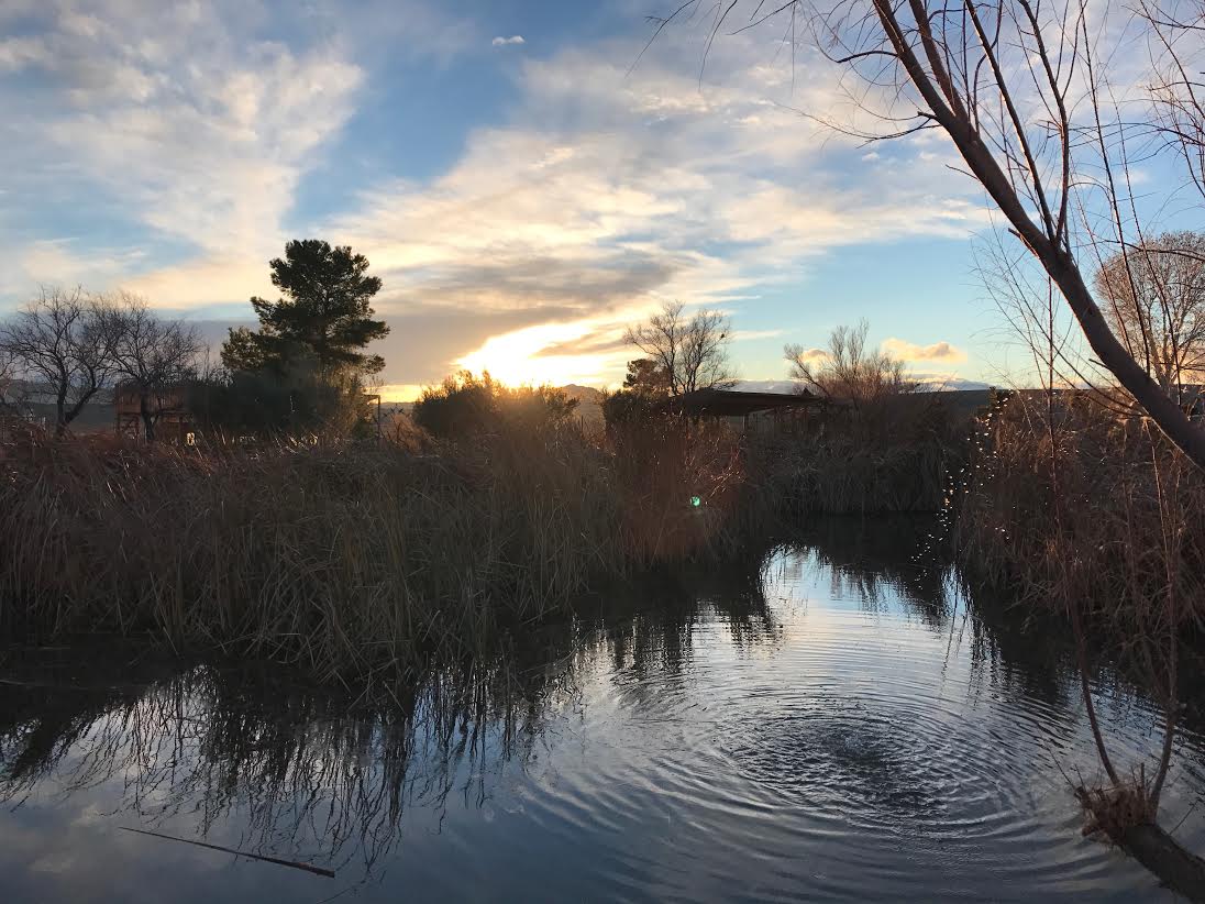 lake at sunset.jpg