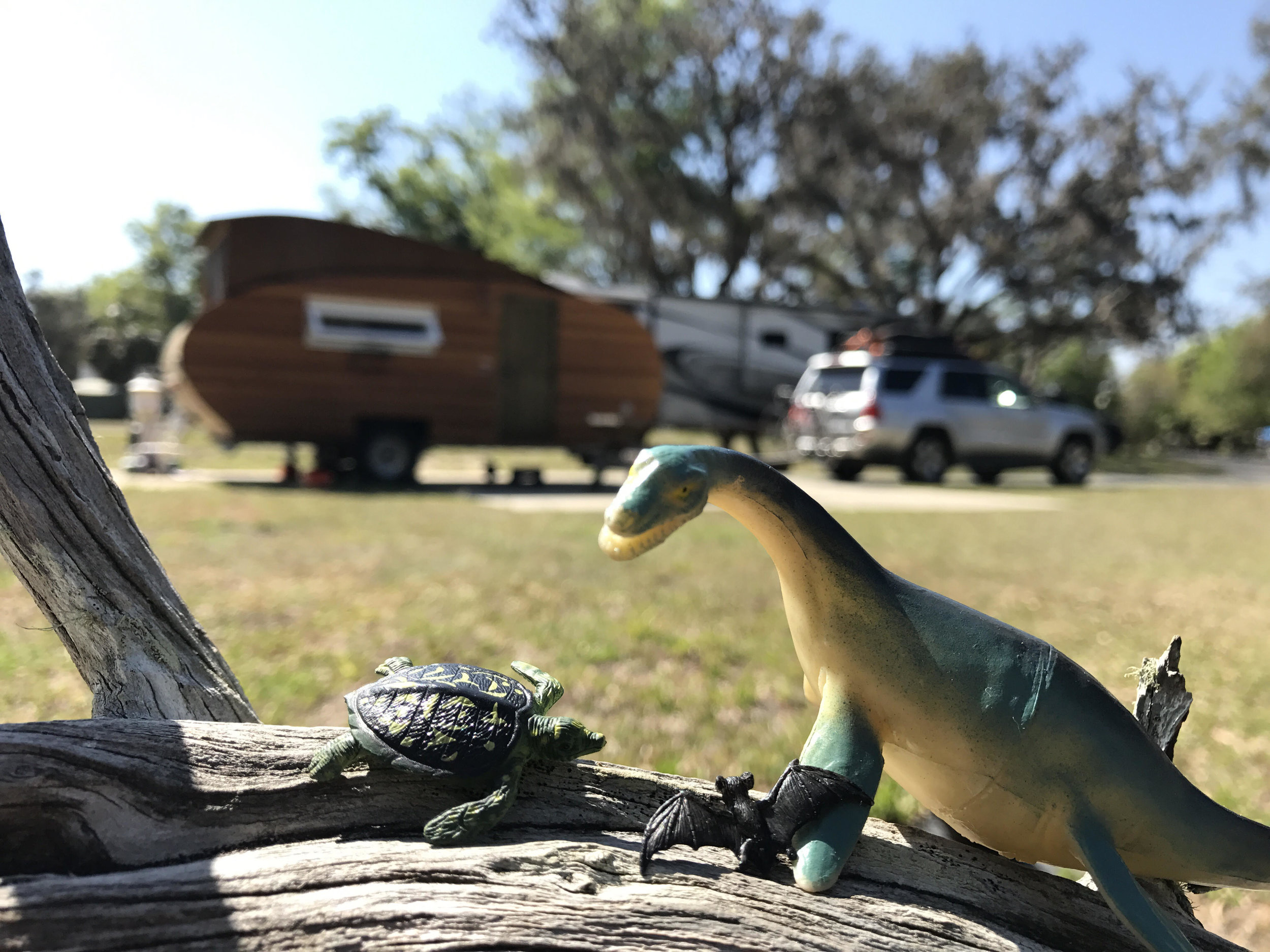 My traveling dinosaur found some friends! 