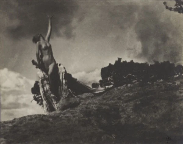 Anne Brigman, Soul of the Blasted Pine , 1906
