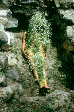 Ana Mendieta, Untitled (Silueta Series, Mexico) , 1973–77