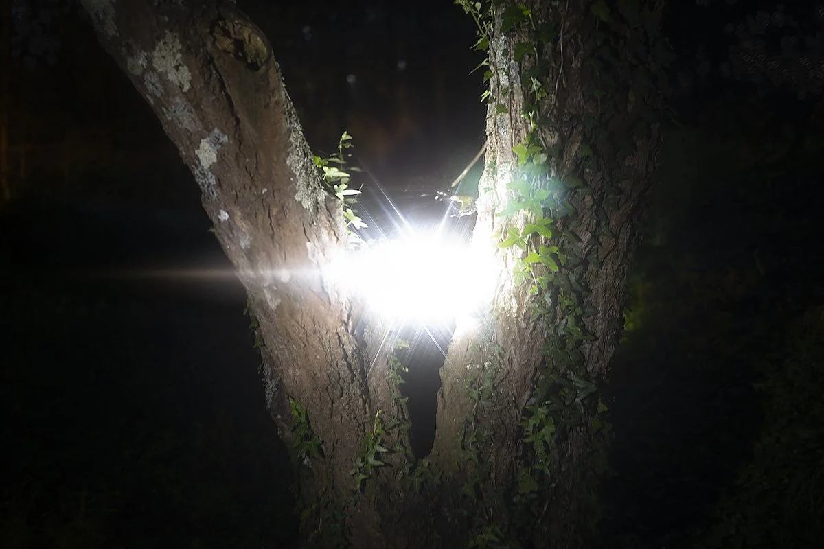 It Is What It Is #1, 2025