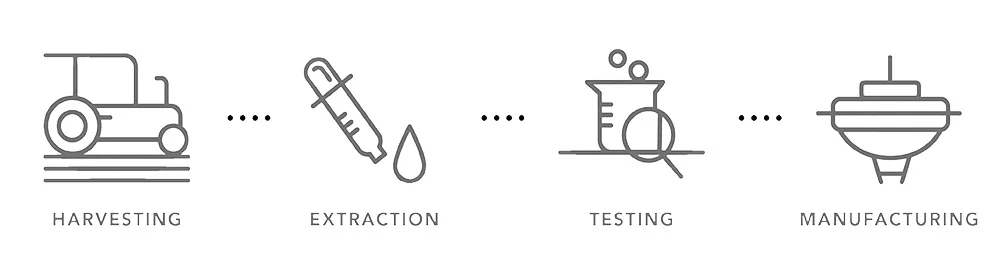 cbd%2Bprocess.jpg