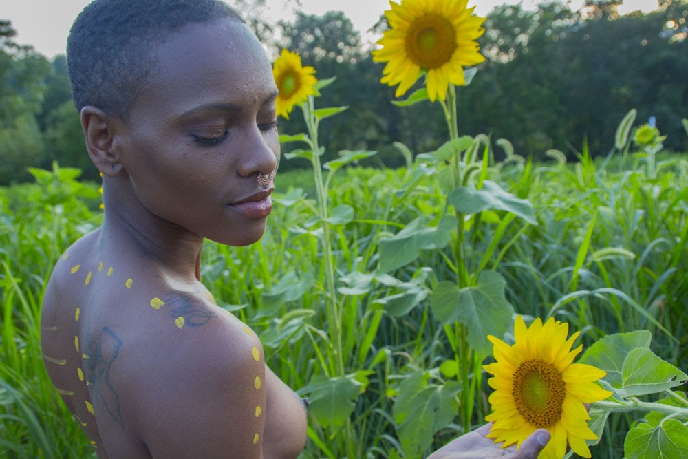 Ian X Sunflower Field 15.JPG