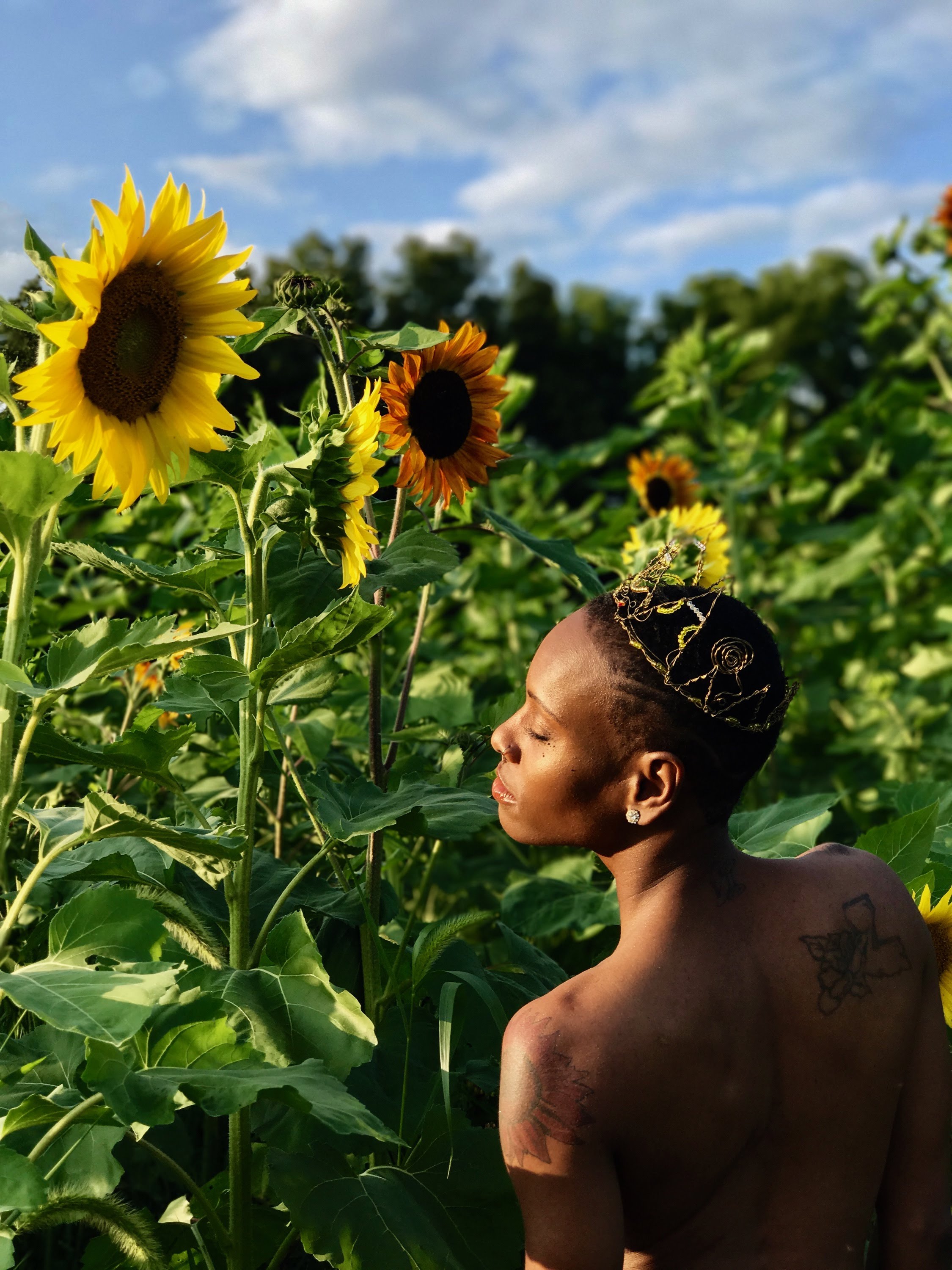 Ian X Sunflower Field 23.JPG
