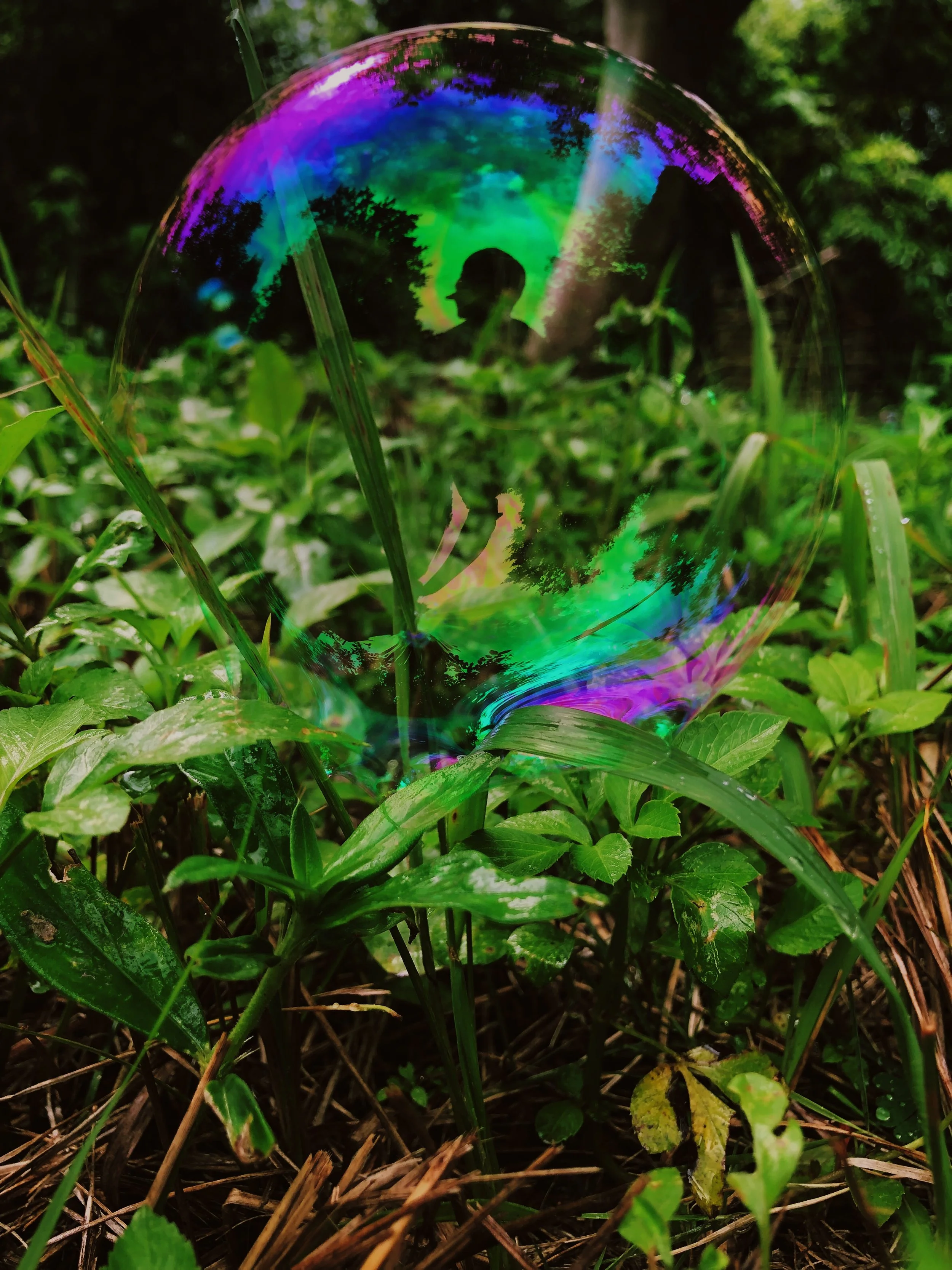 bubbles: soft mirrors for self-discovery