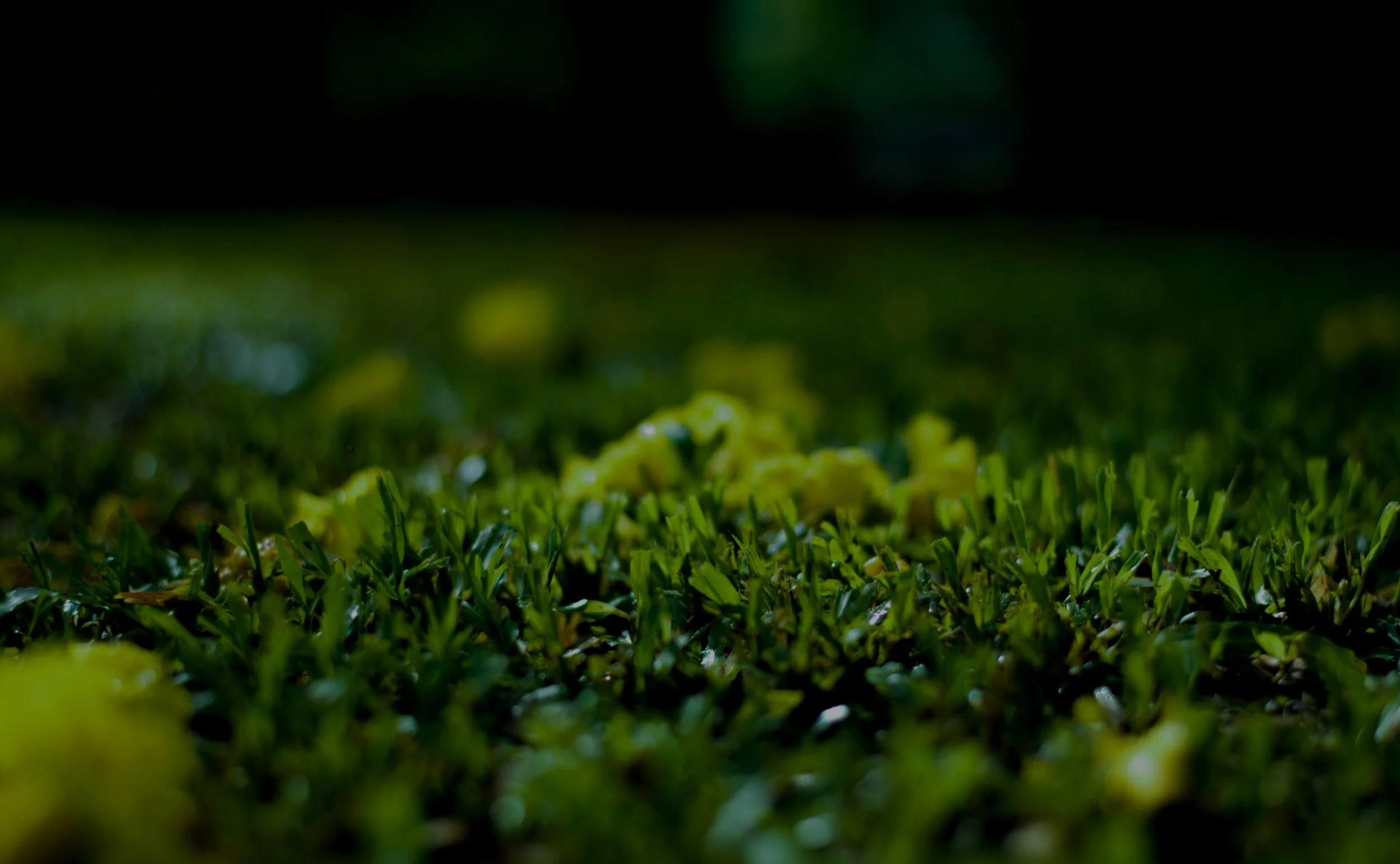 Vorsorgeuntersuchung