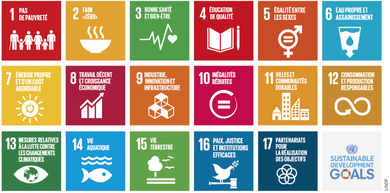 UN Sustainable Development Goal