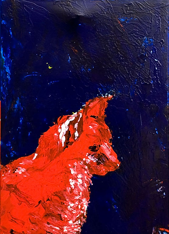 Gatto rosso guarda sù