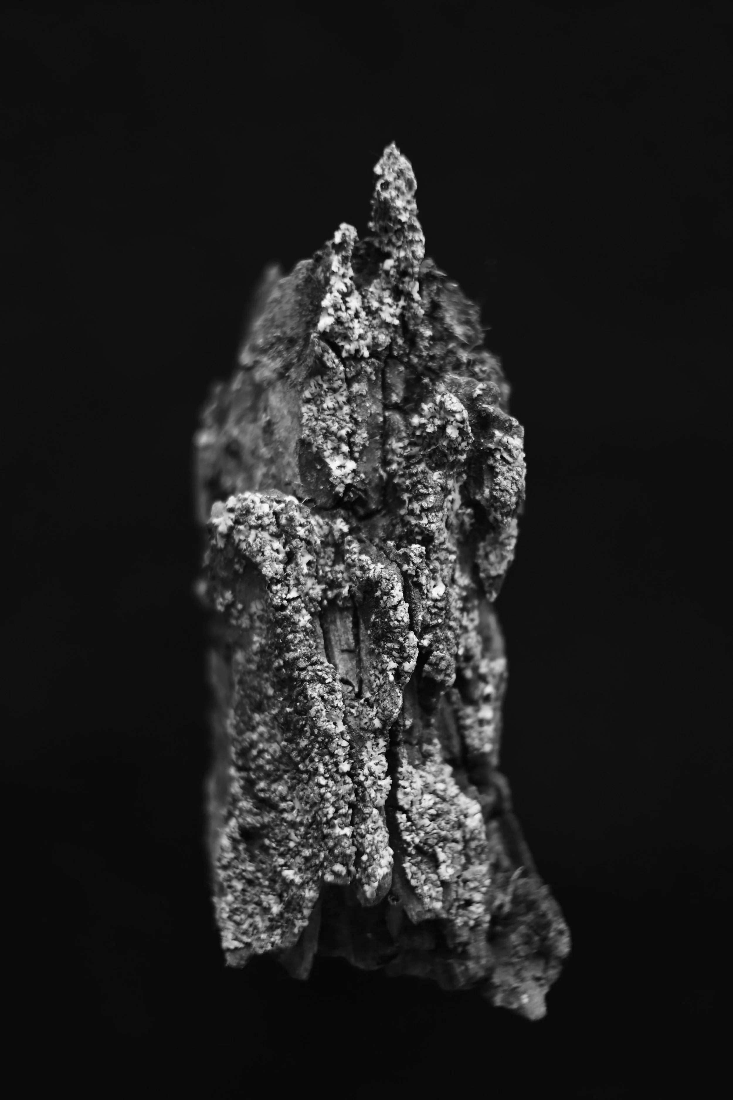   Cortex , 2023 © Wolf Schmelter, VG Bild-Kunst, Bonn 