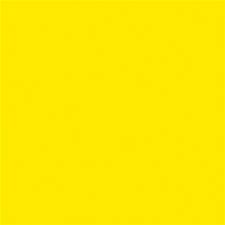 YELLOW.jpeg