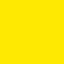 YELLOW.jpeg