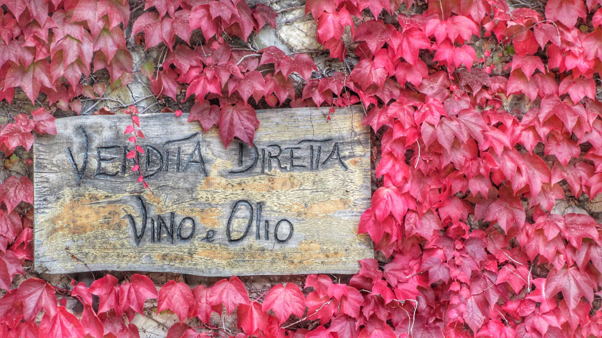 Attachment-1 (1).jpeg