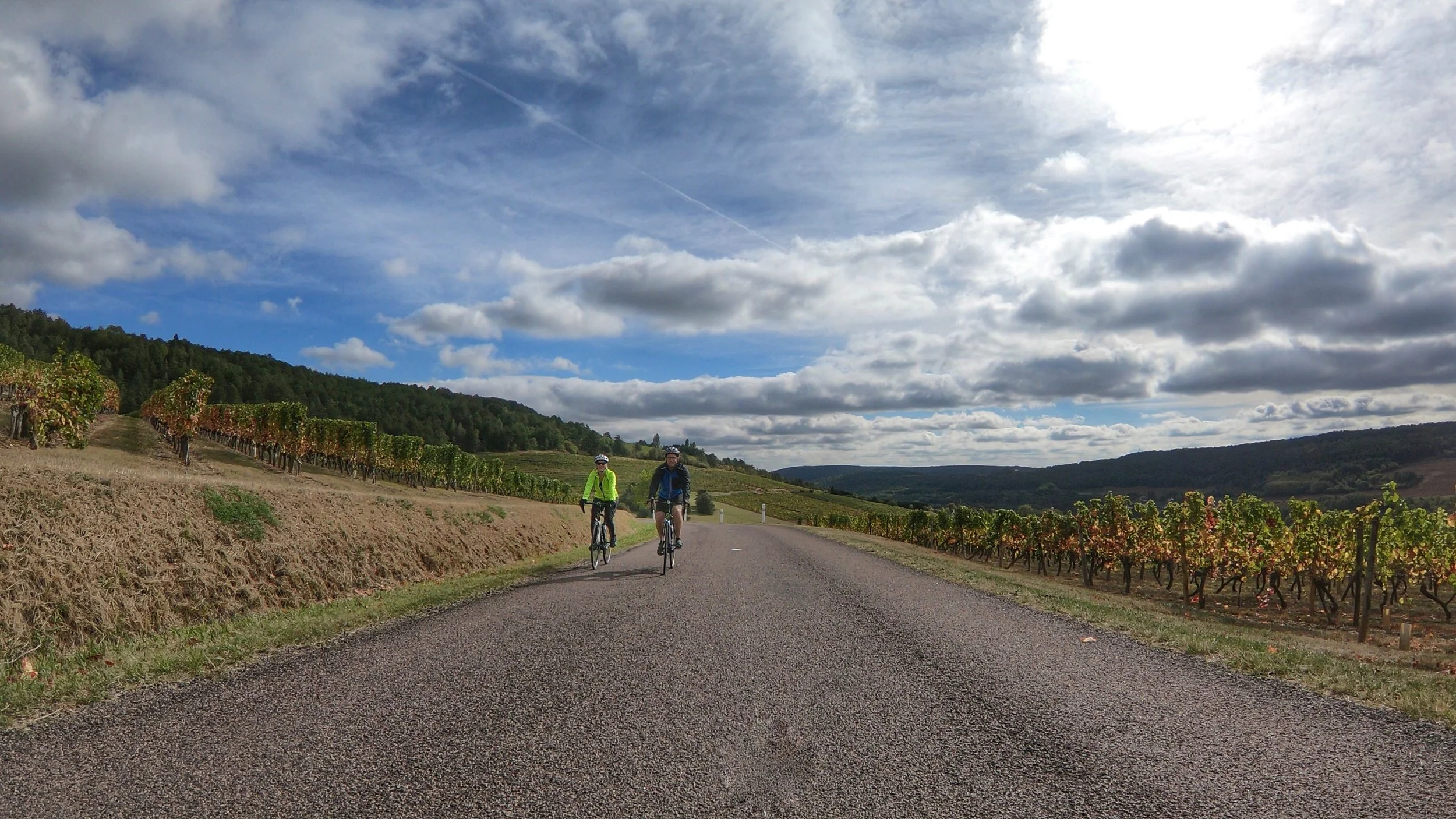 Arcenant.vineyards 2.jpg