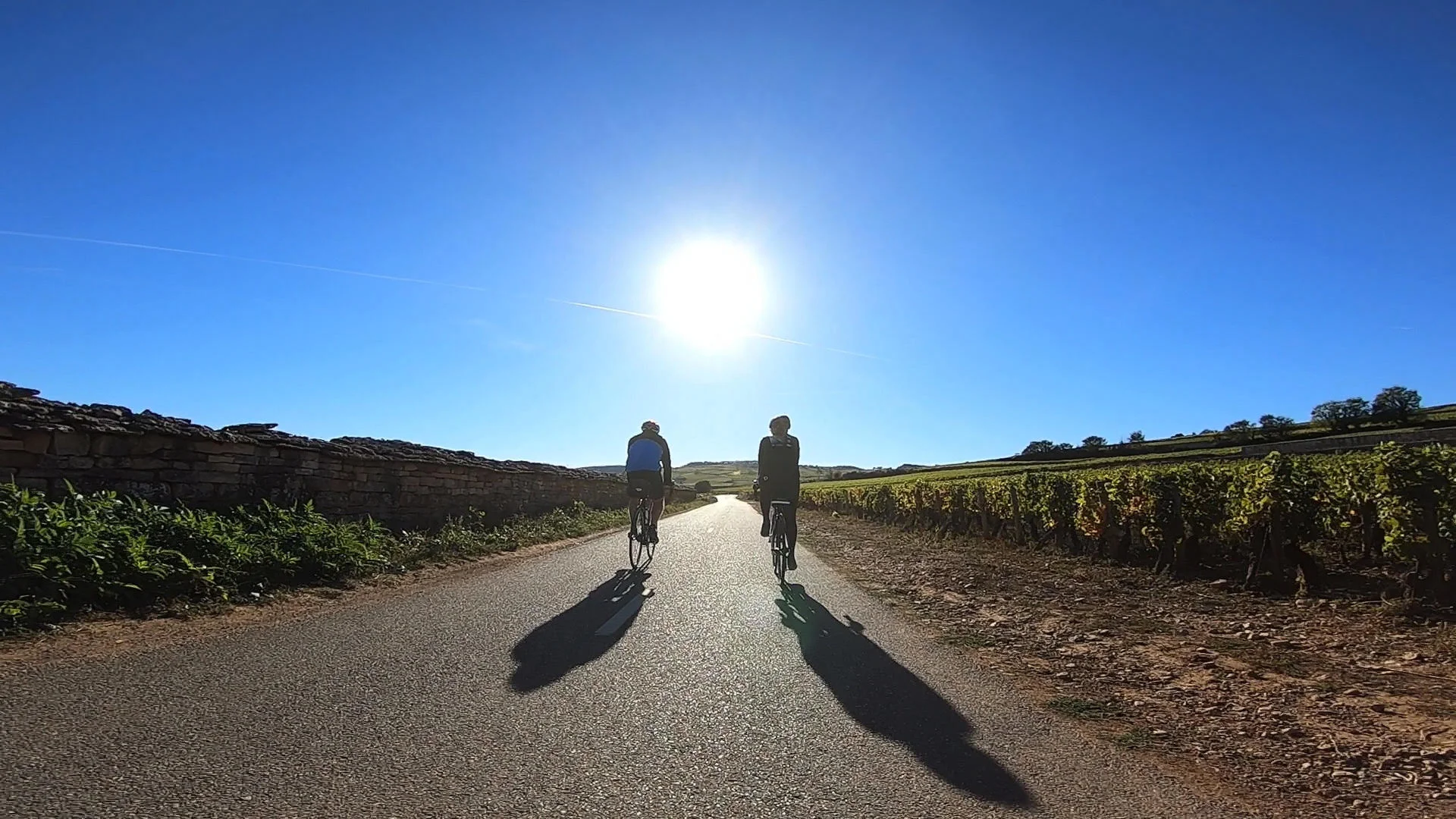 SW.JW.Beaunevineyards.jpg