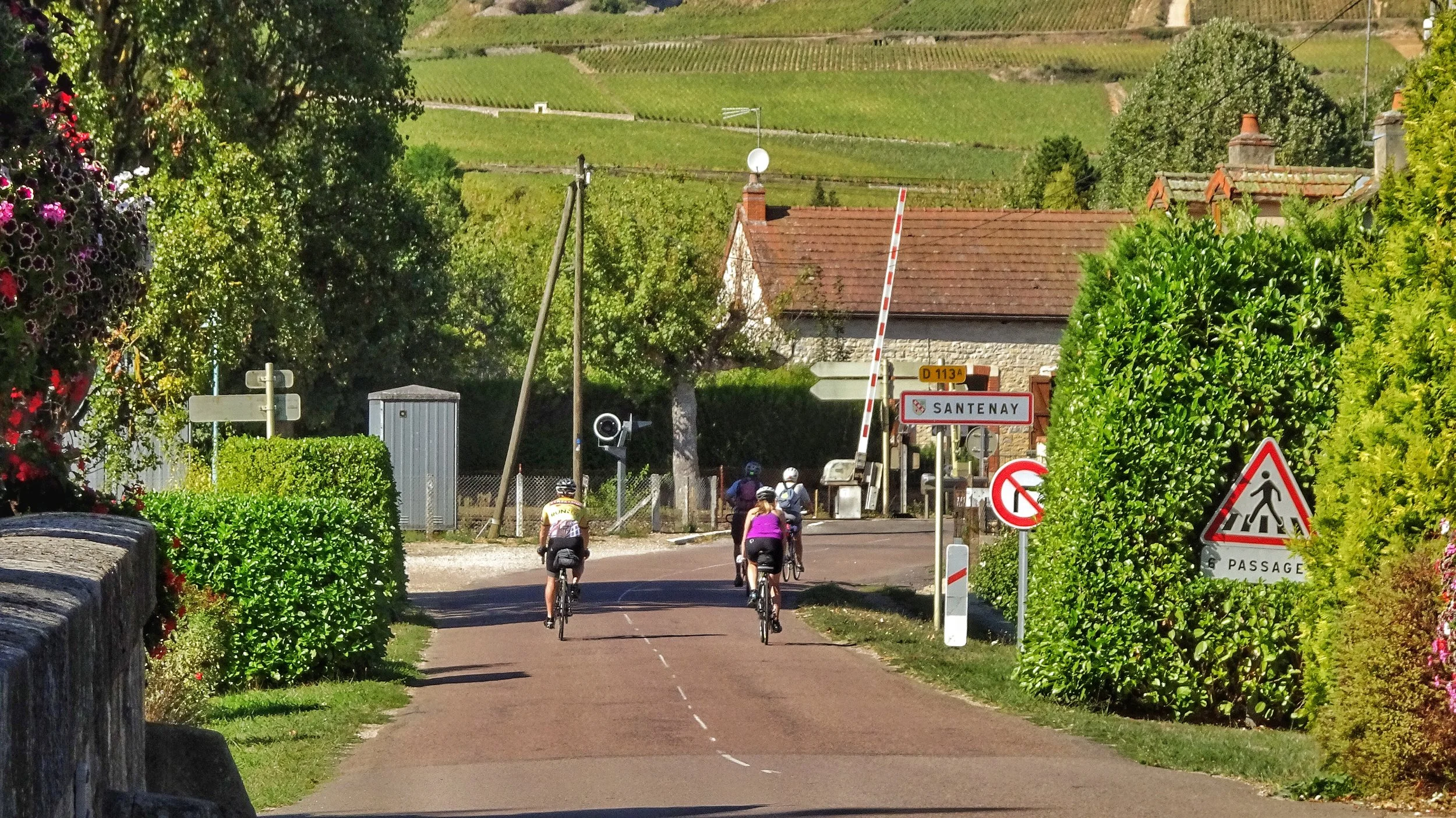 SW.JW.Santenay.jpg
