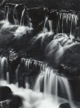 Ansel Adams, Fern, Spring, Yosemite Valley, 1961, Adam Fuss, unique photogram, est. £4,000-£6,000 est. £4,000-£6,000