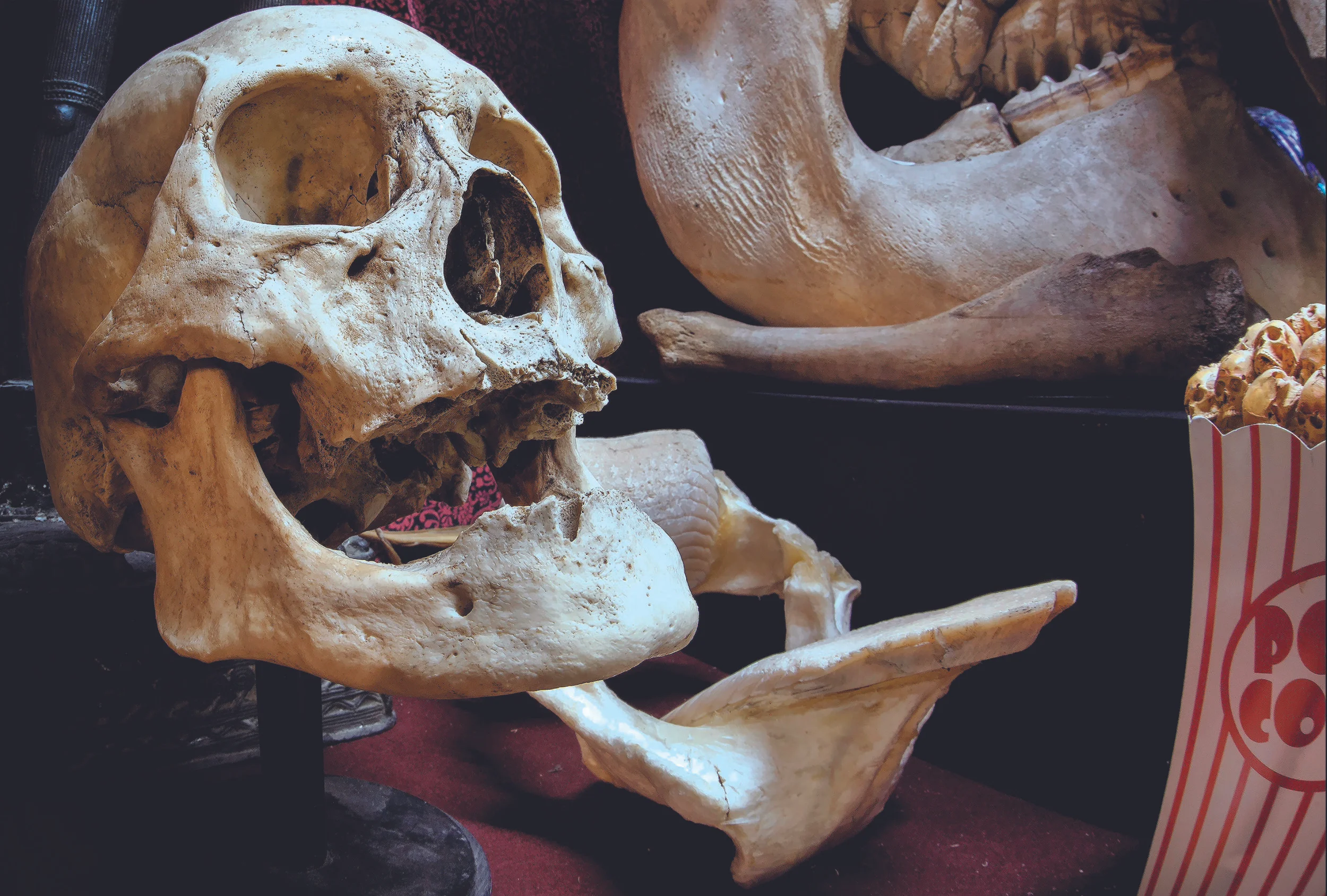 Skull and skull popcorn.jpg