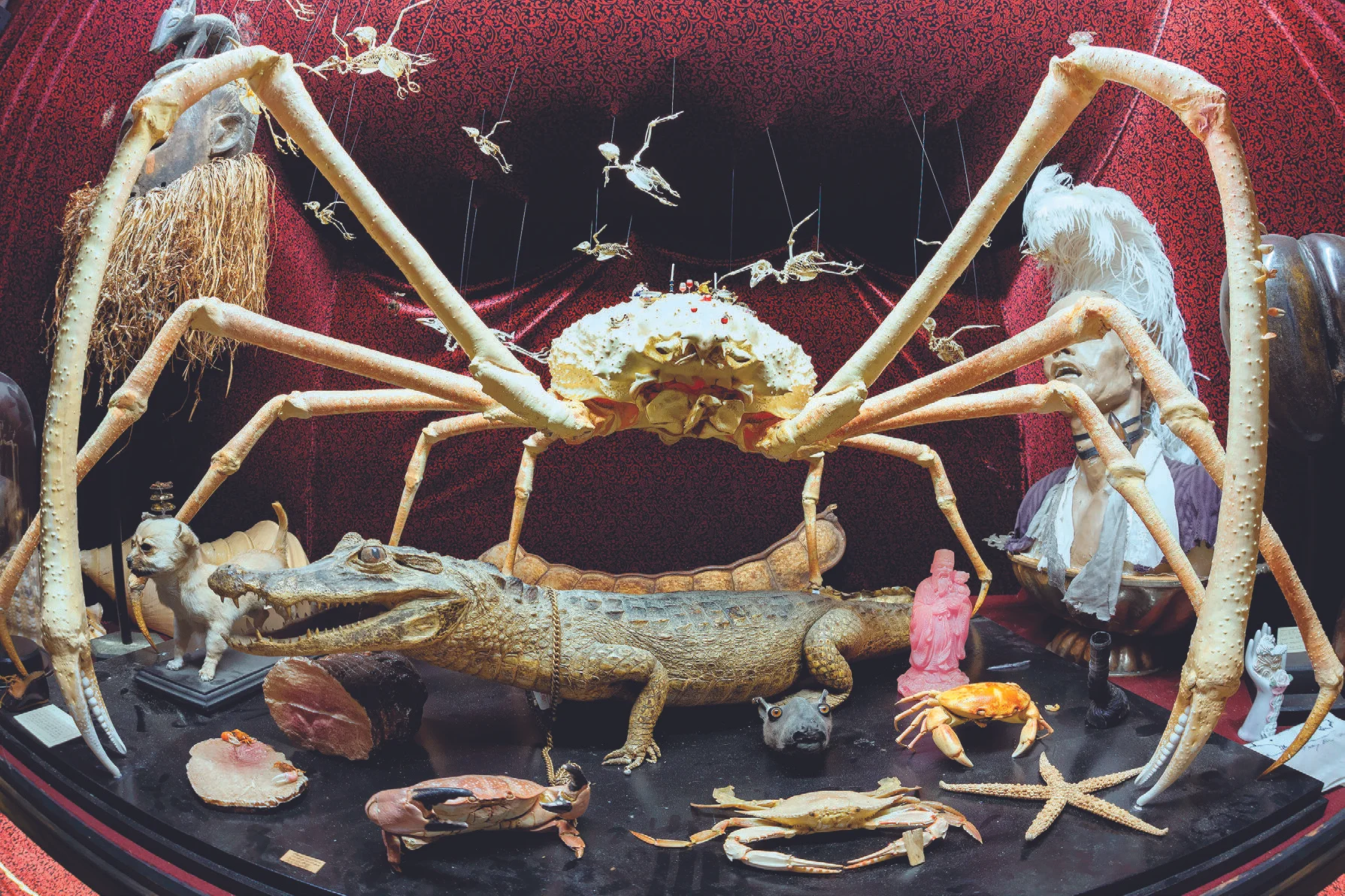 Crabs.jpg
