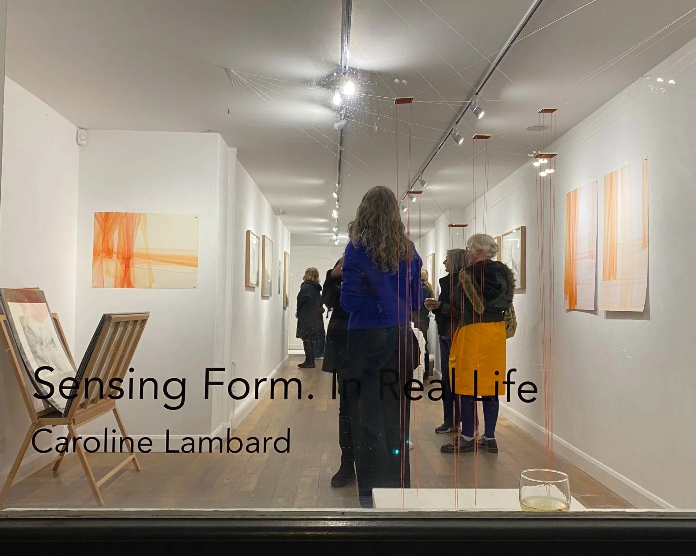 Sarah CROP - pv main image - IMG_2005.jpg