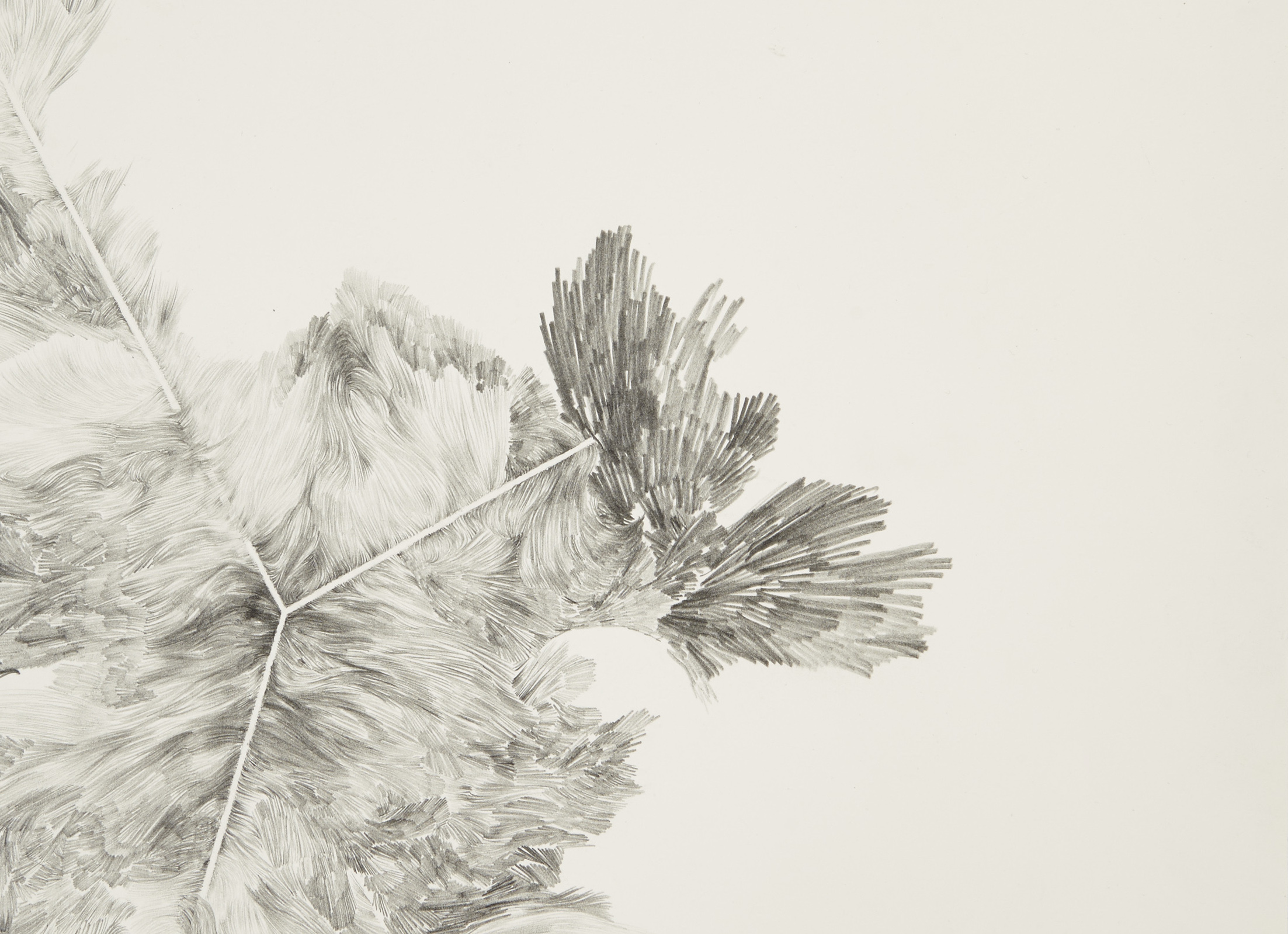detail from Lines Planes drawing above
