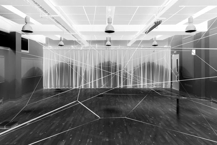 Colloquium Dendrite Form © Caroline Lambard .jpeg