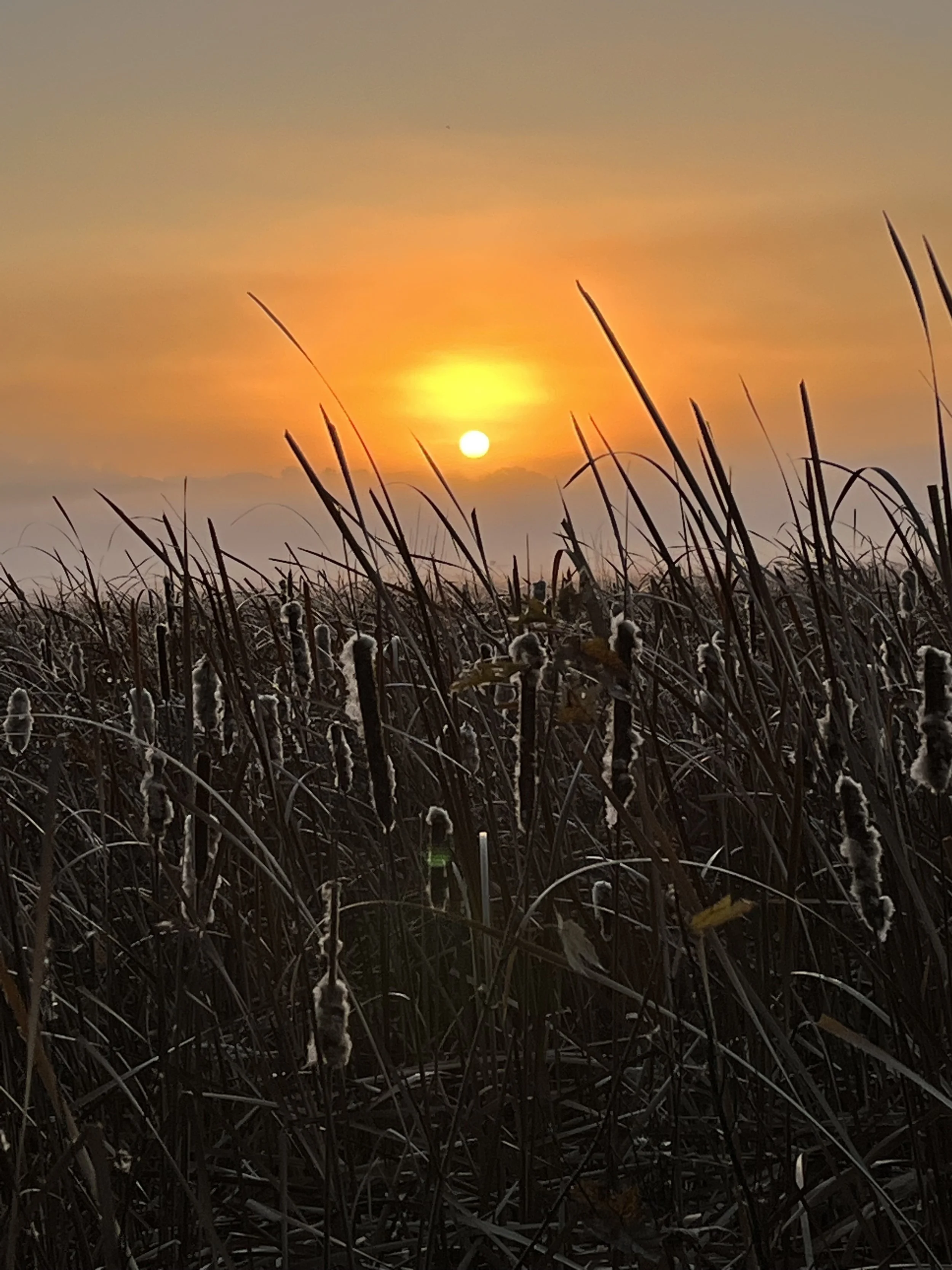 3 Body Qigong: 2022 End of Year Meditation