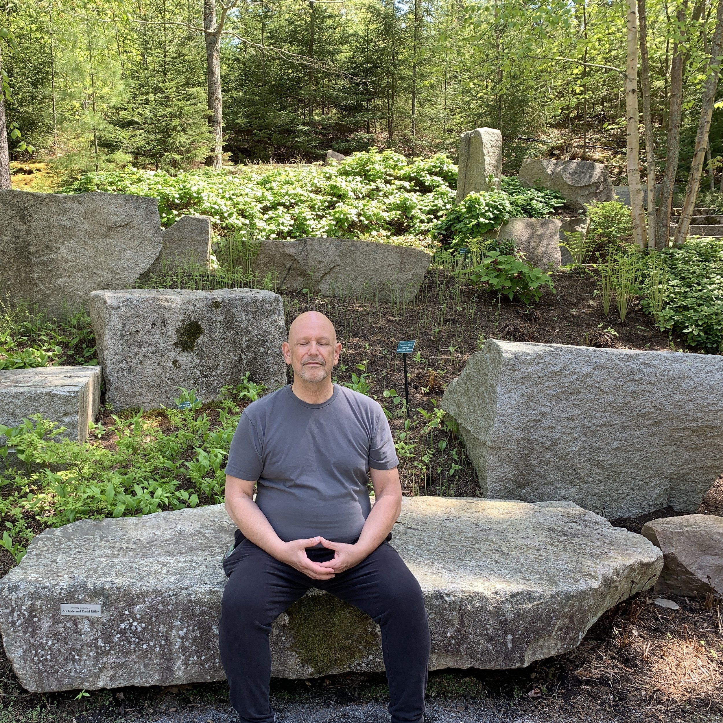 3 Body Qigong - Healthy Body-Happy Heart Series... SPRING SESSION 