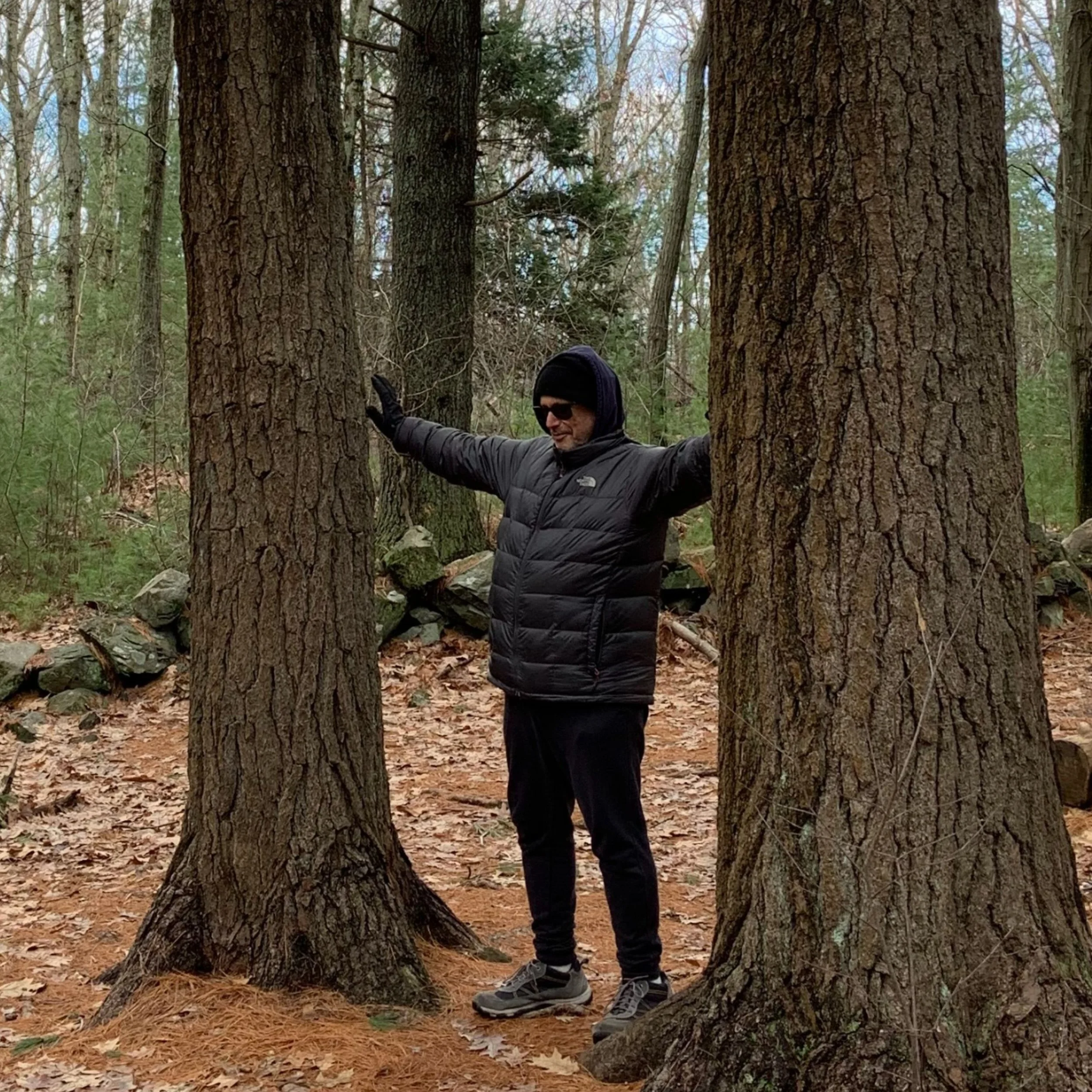3 BODY QIGONG - March into Spring&nbsp;