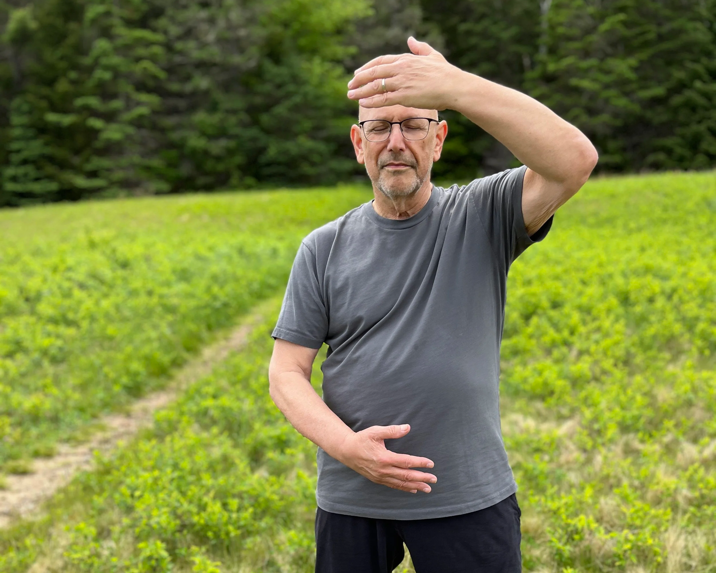 3 Body Qigong for SUMMER- Healthy Acadia