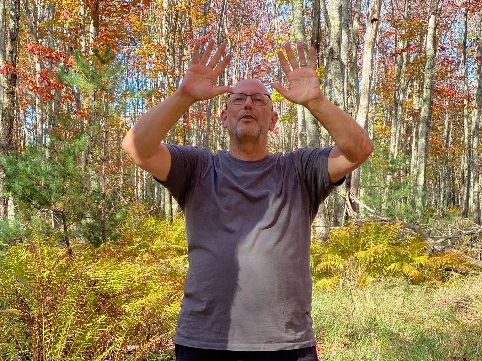 3 Body Qigong  for Fall - Watertown, MA