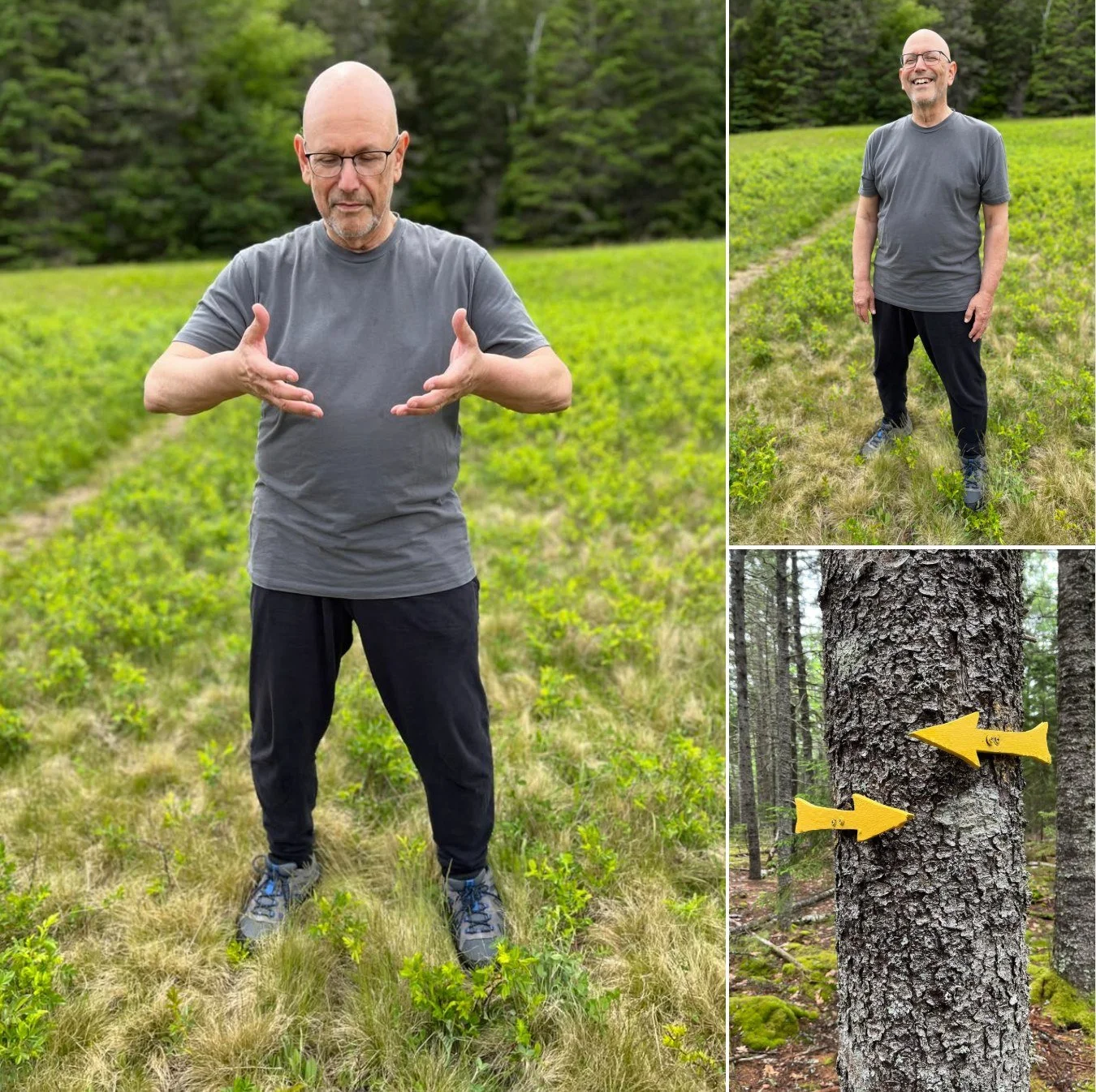 3 BODY QIGONG FOR SPRING! &amp; Summer Classes Announced