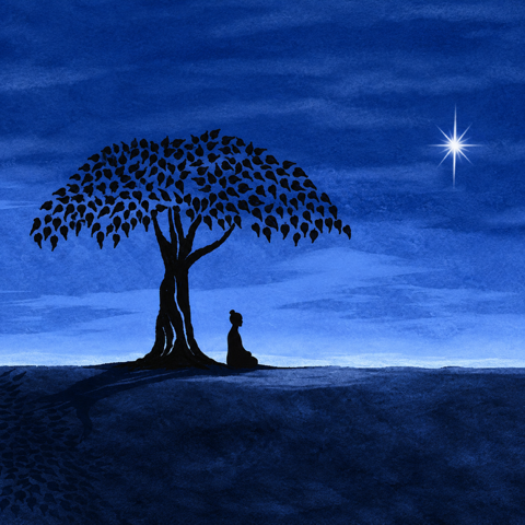 2026 End of Year Meditation