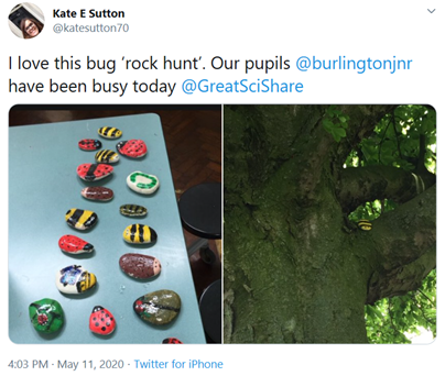 Bug rock hunt