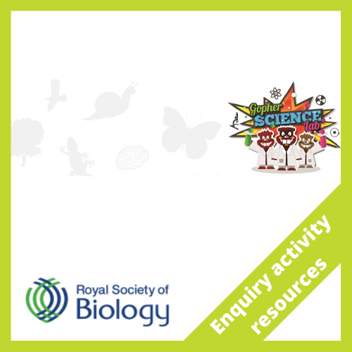 Royal Society of Biology: Gopher Science Lab