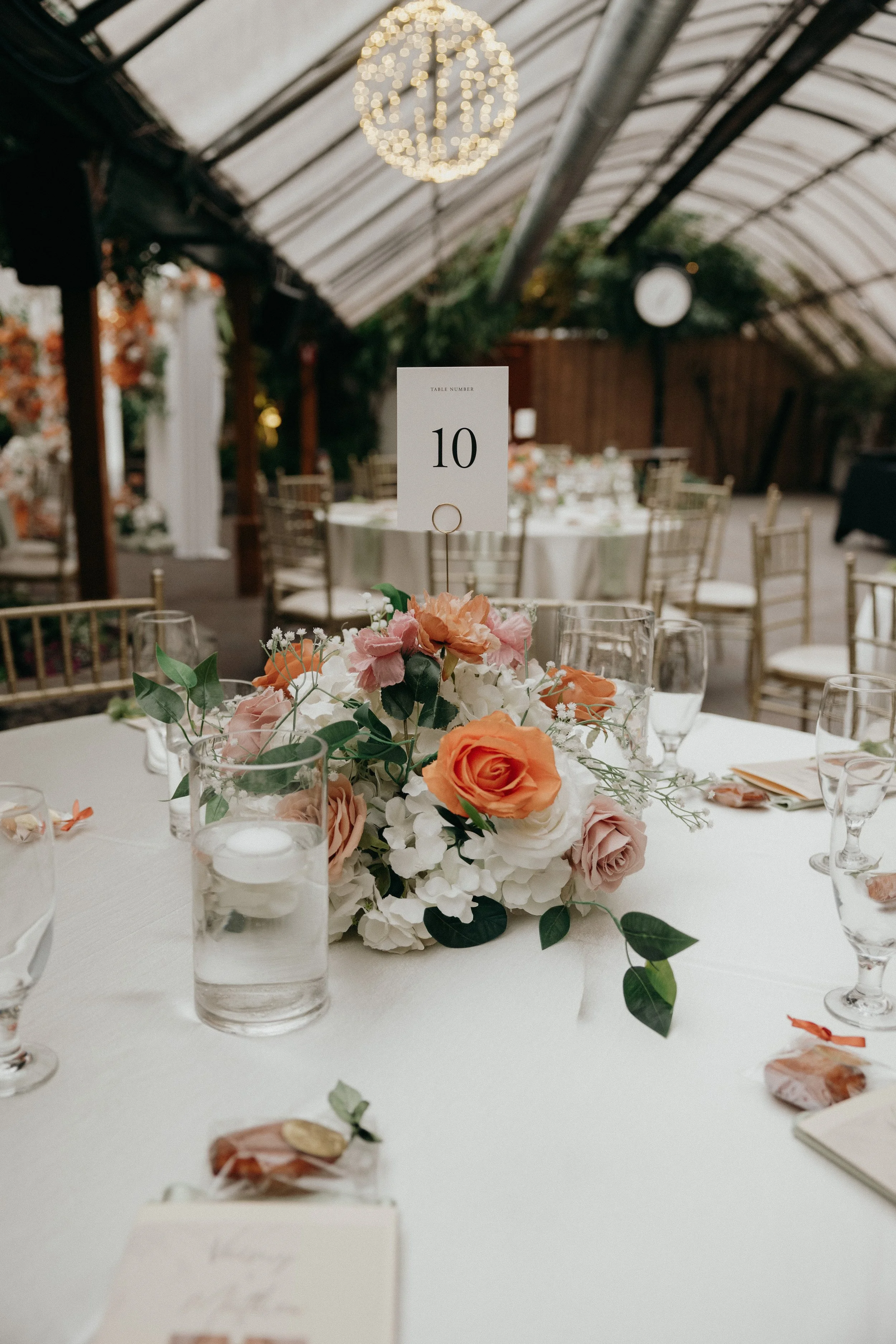 Cassandra Fallis Photography-1316.jpg