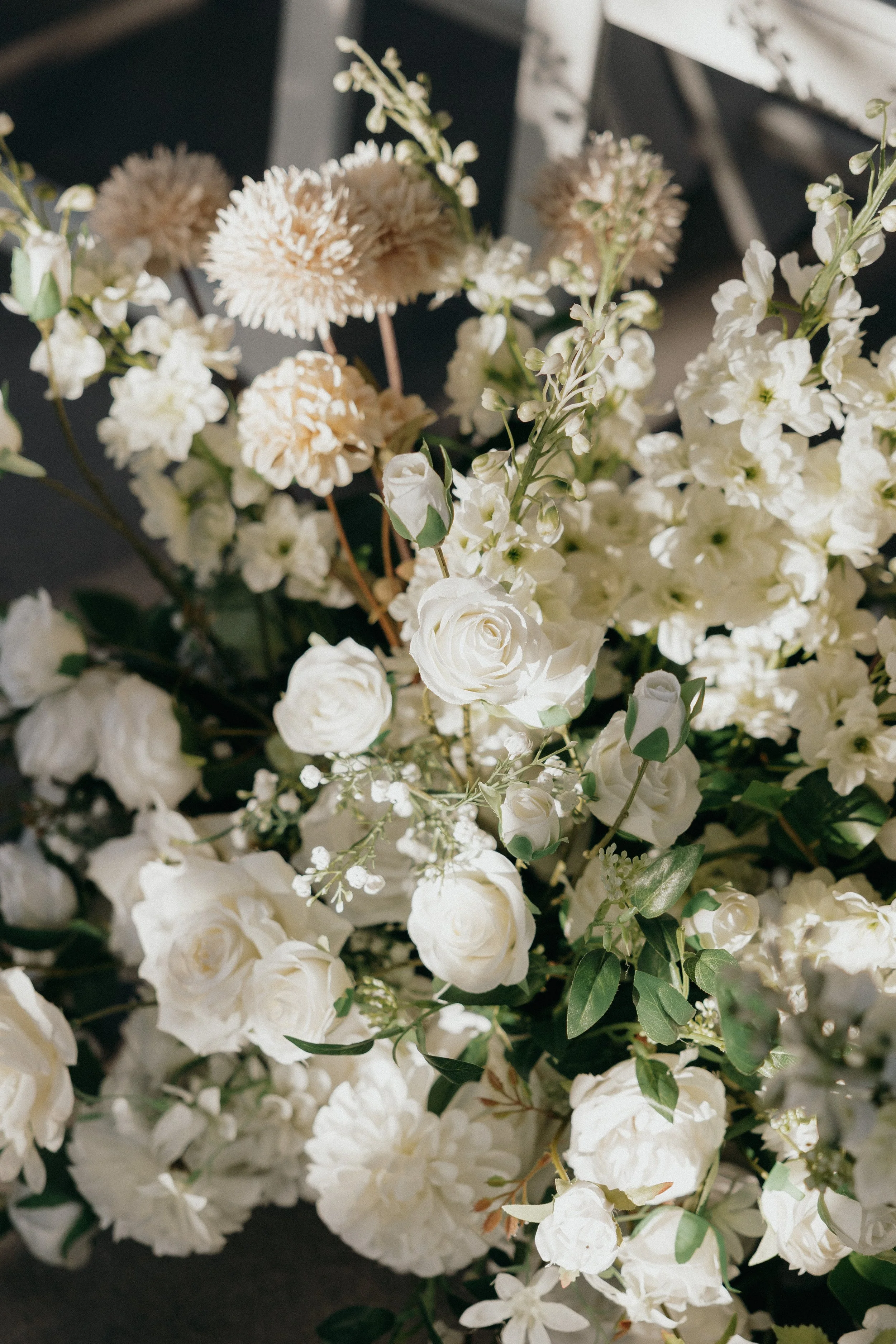Cassandra Fallis Photography-1378.jpg
