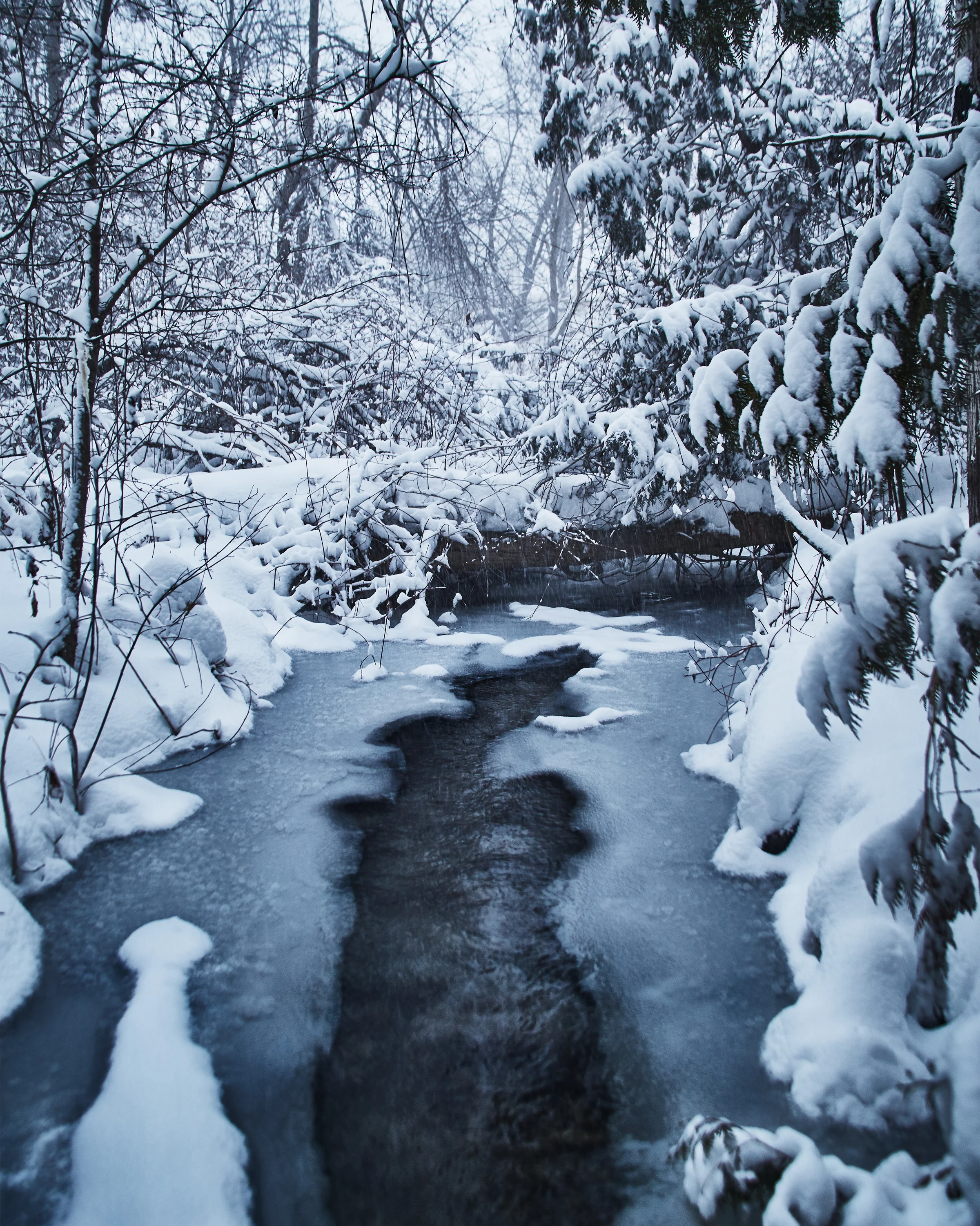  This shot was taken on a beautiful winter day in a small town outside of Toronto.&nbsp; 